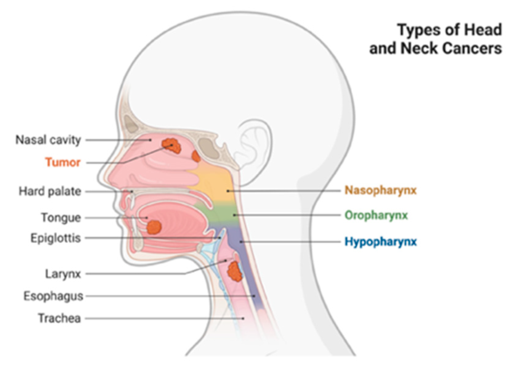 Plants 12 02330 g001 Plants 12 02330 g001