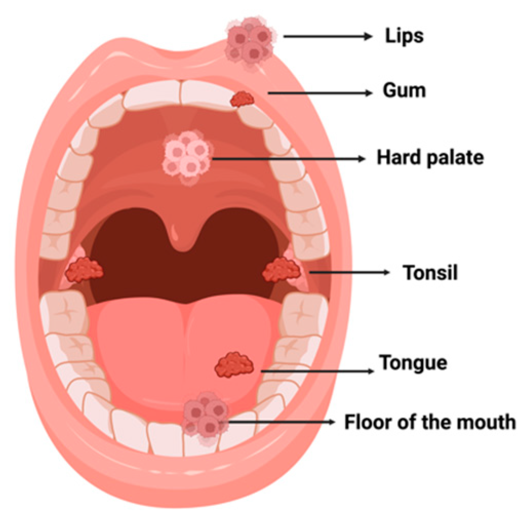 Plants 12 02330 g002 Plants 12 02330 g002