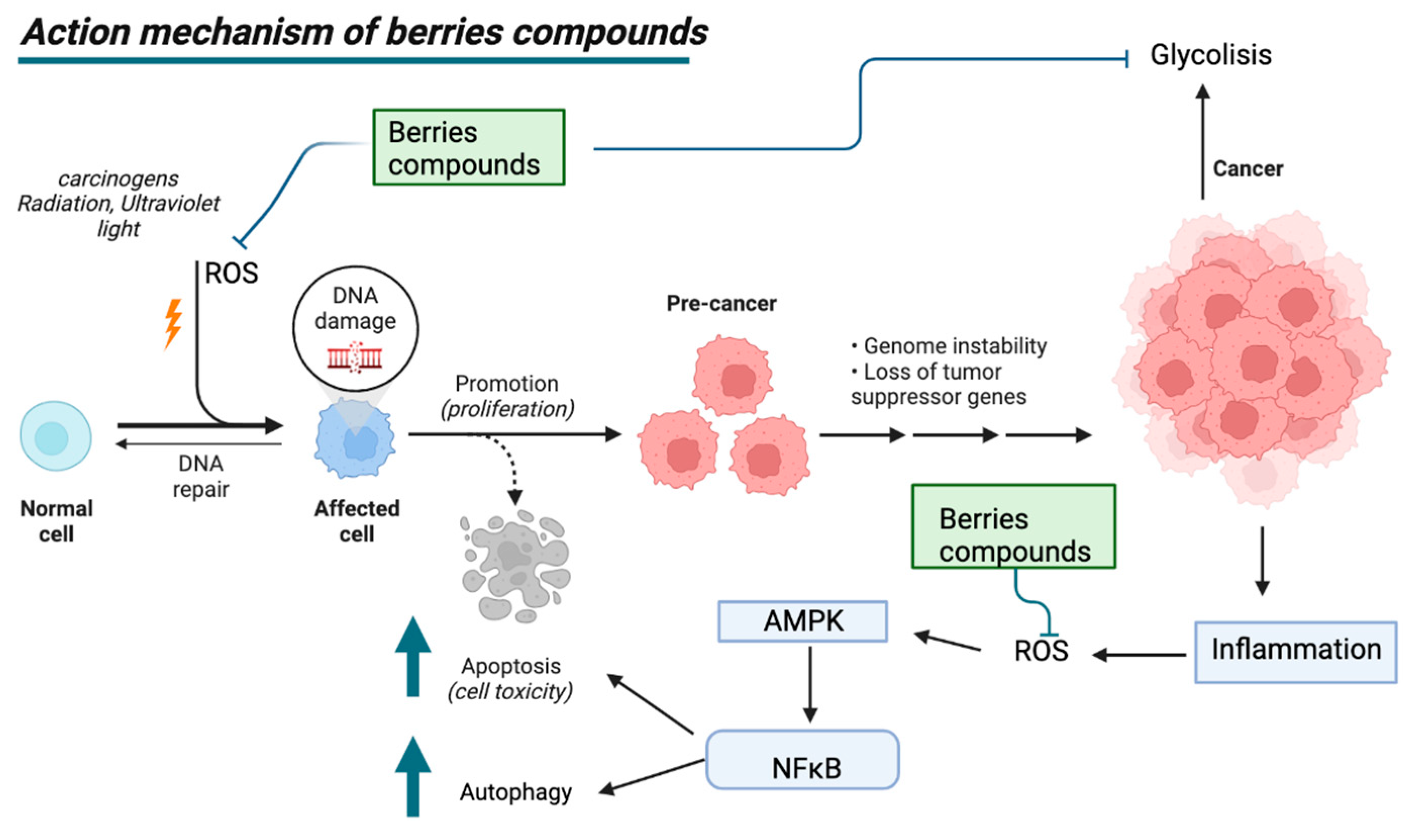 Plants 12 02330 g005 Plants 12 02330 g005