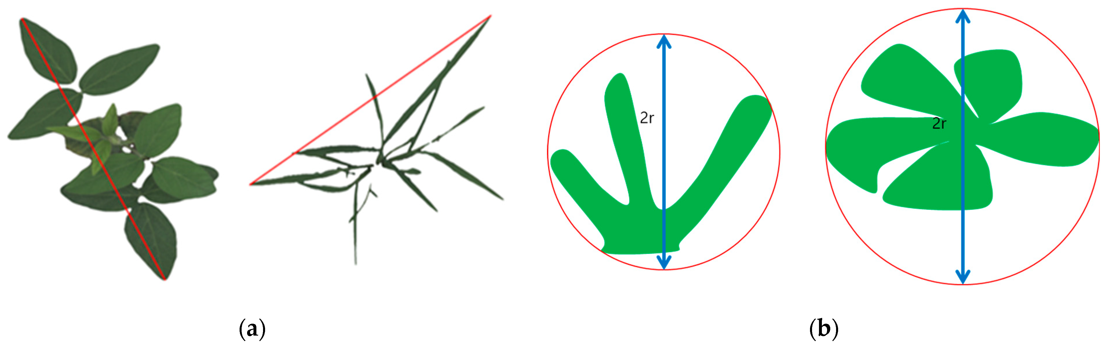 Plants 12 02331 g010