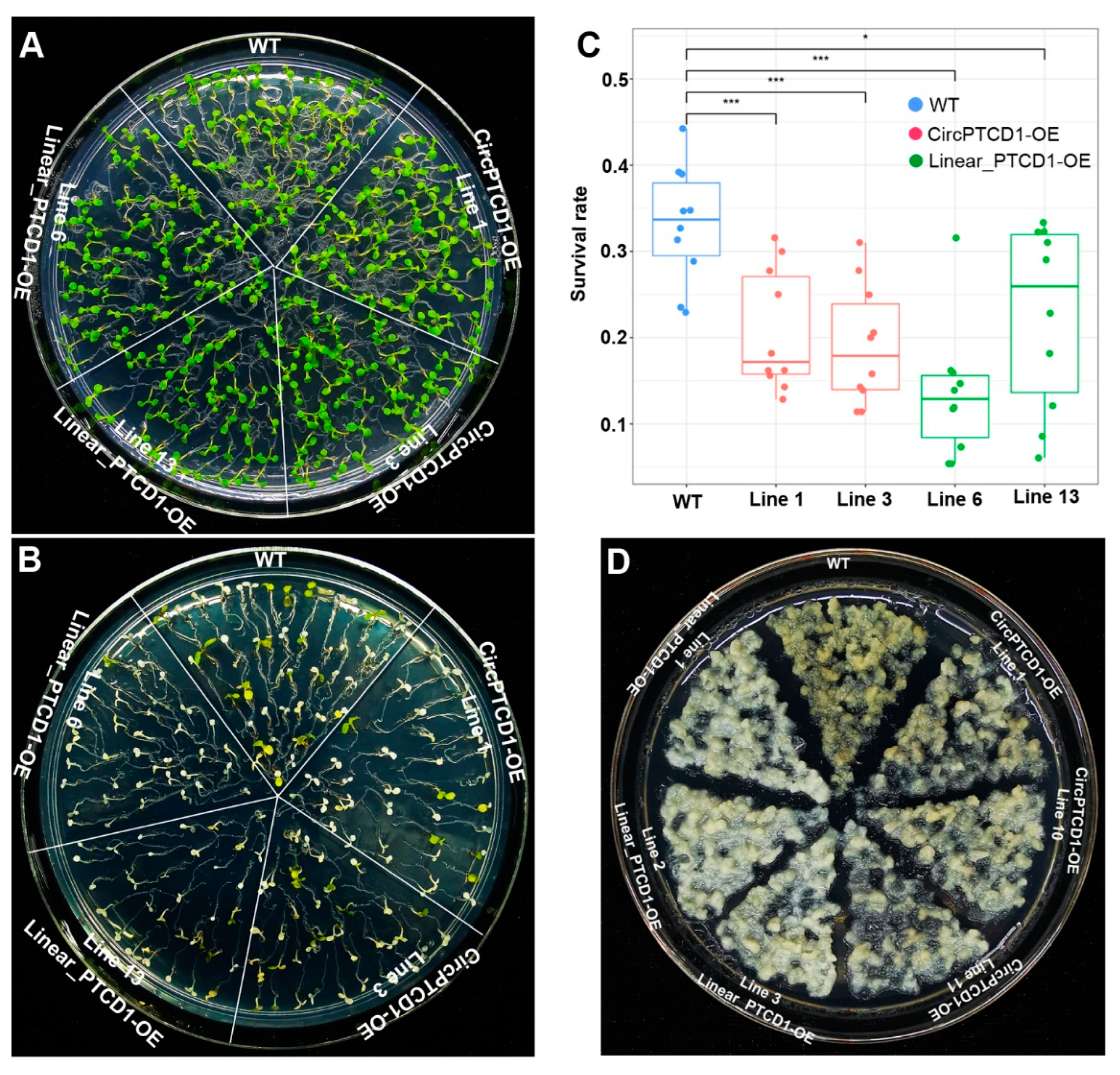 Plants 12 02332 g005 Plants 12 02332 g005