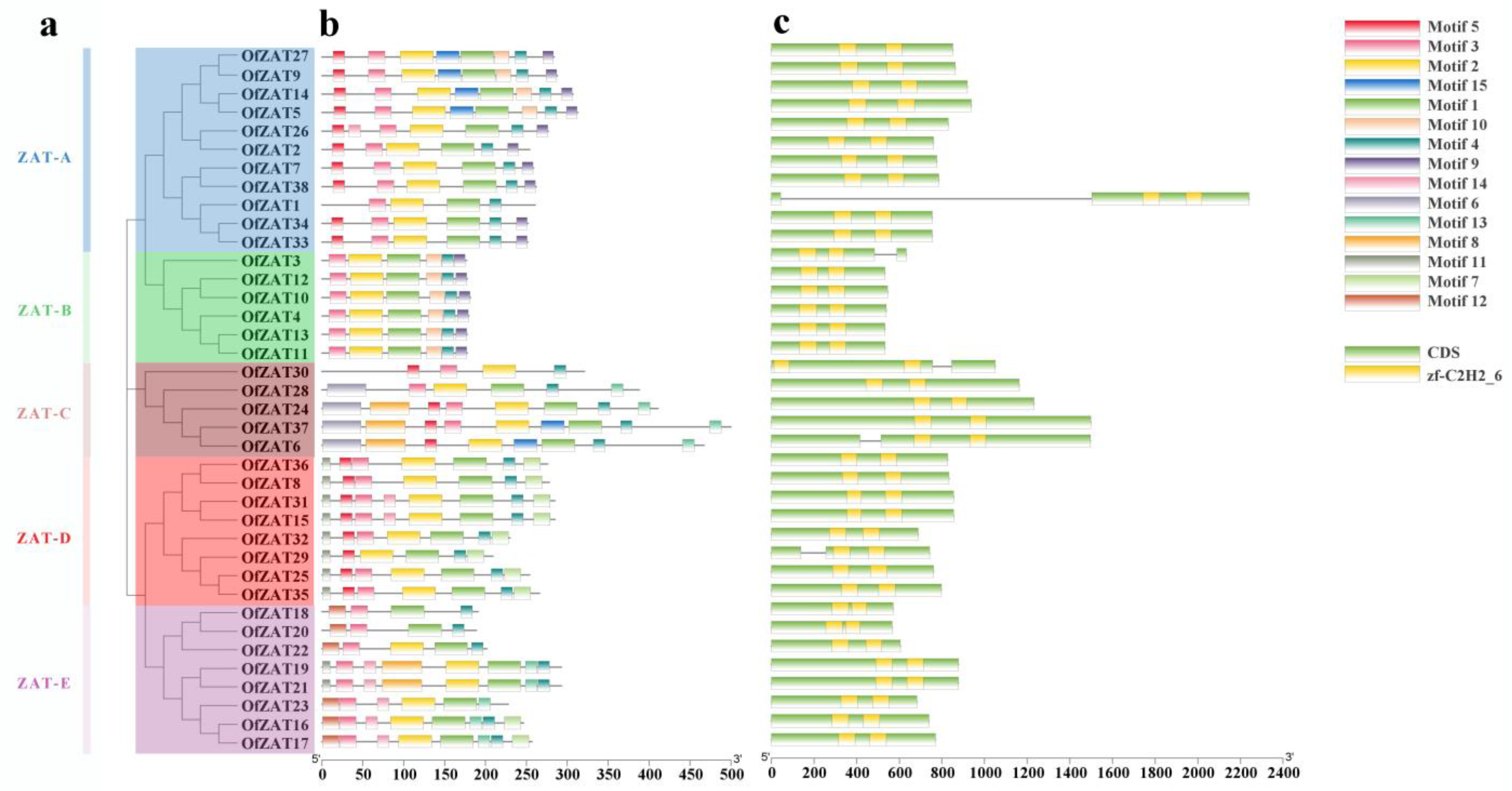Plants 12 02346 g003