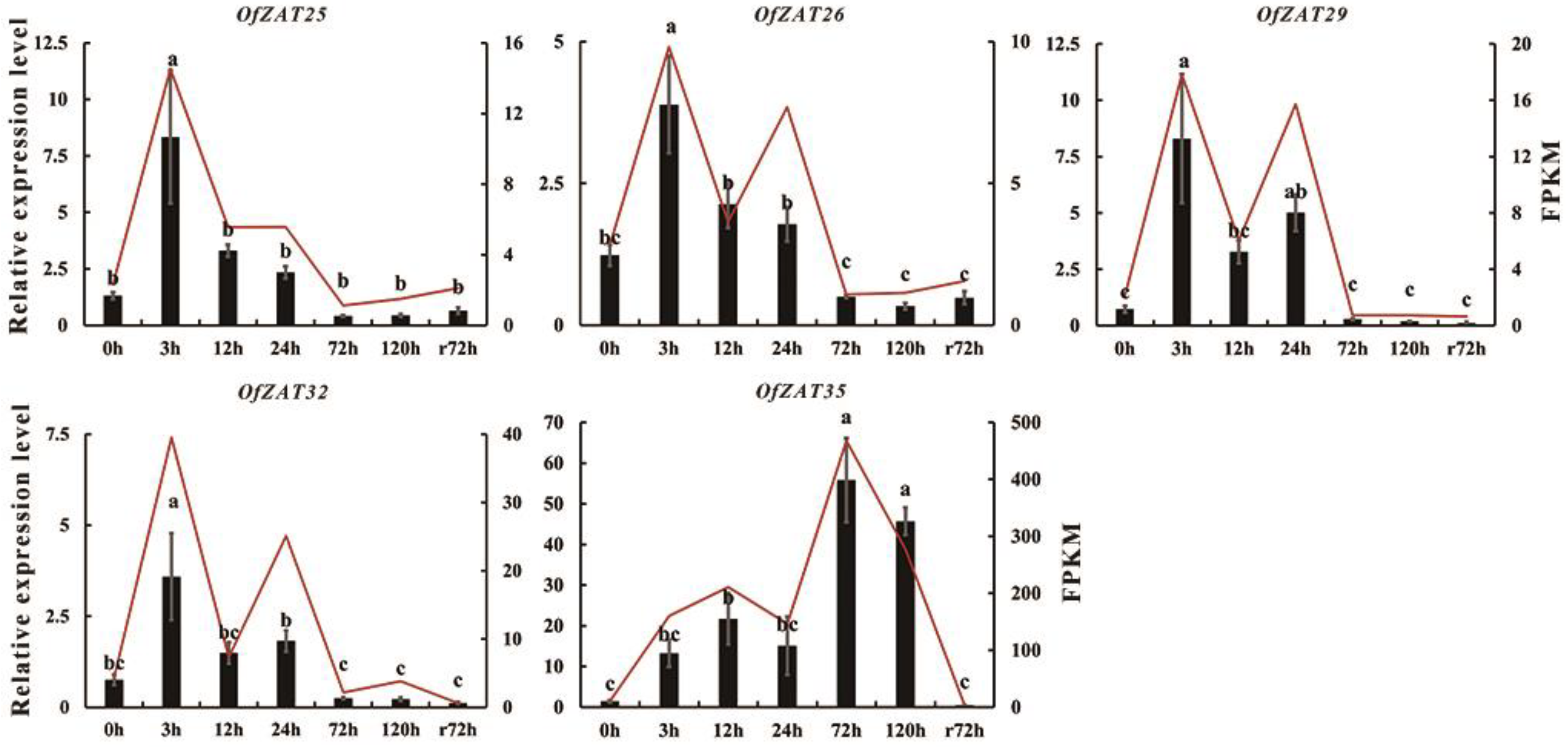 Plants 12 02346 g007
