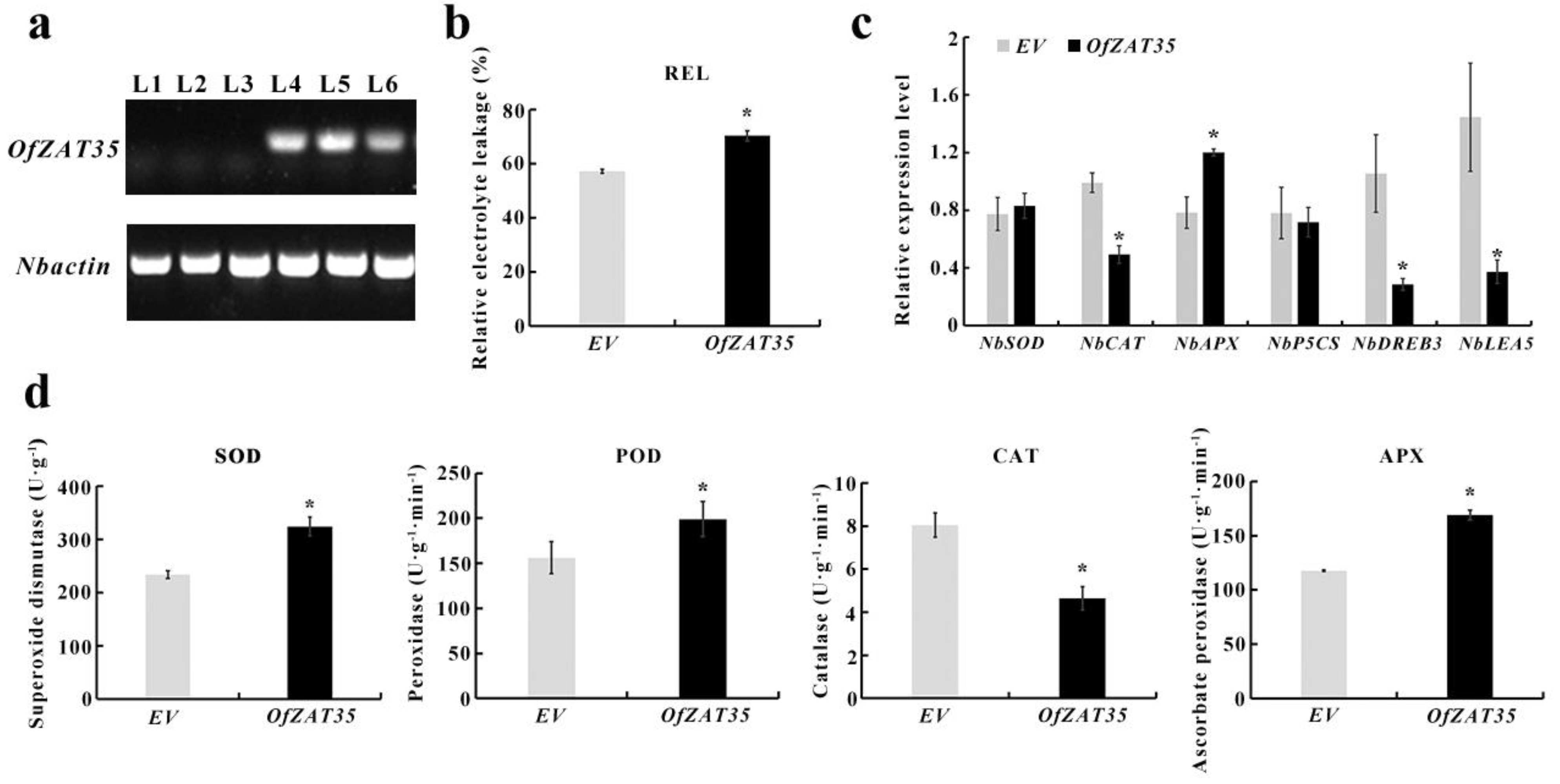 Plants 12 02346 g009
