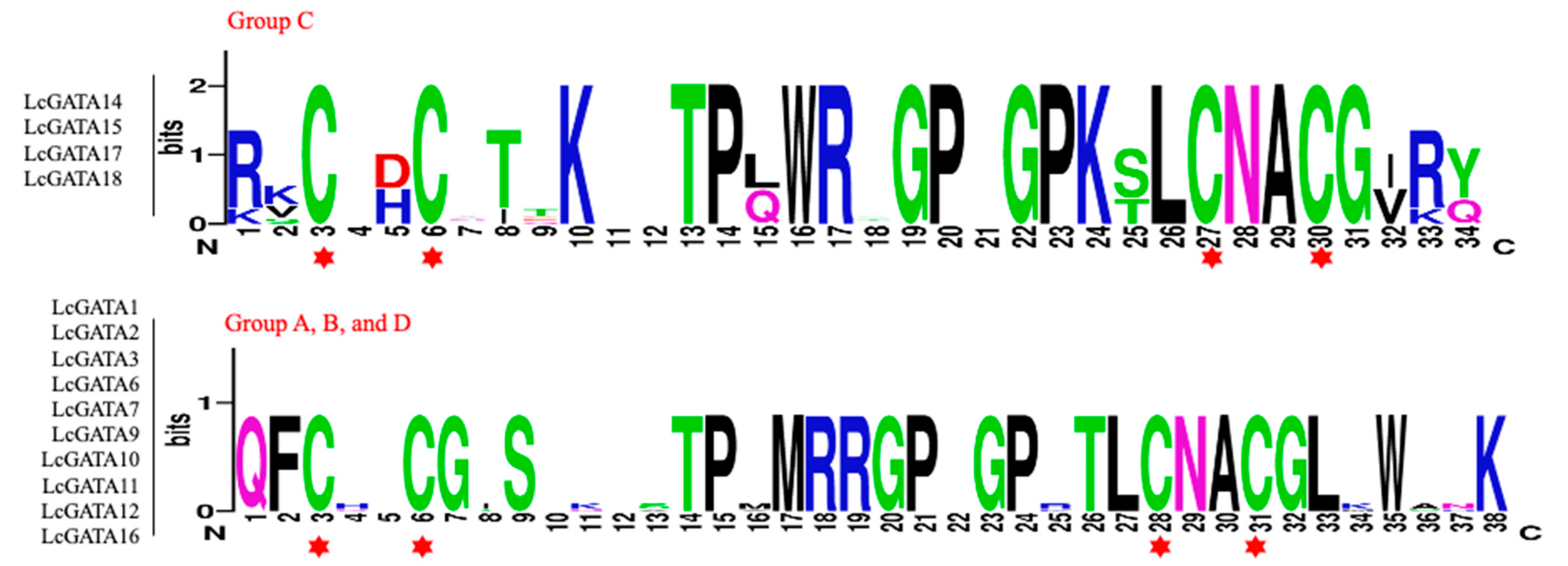 Plants 12 02349 g001