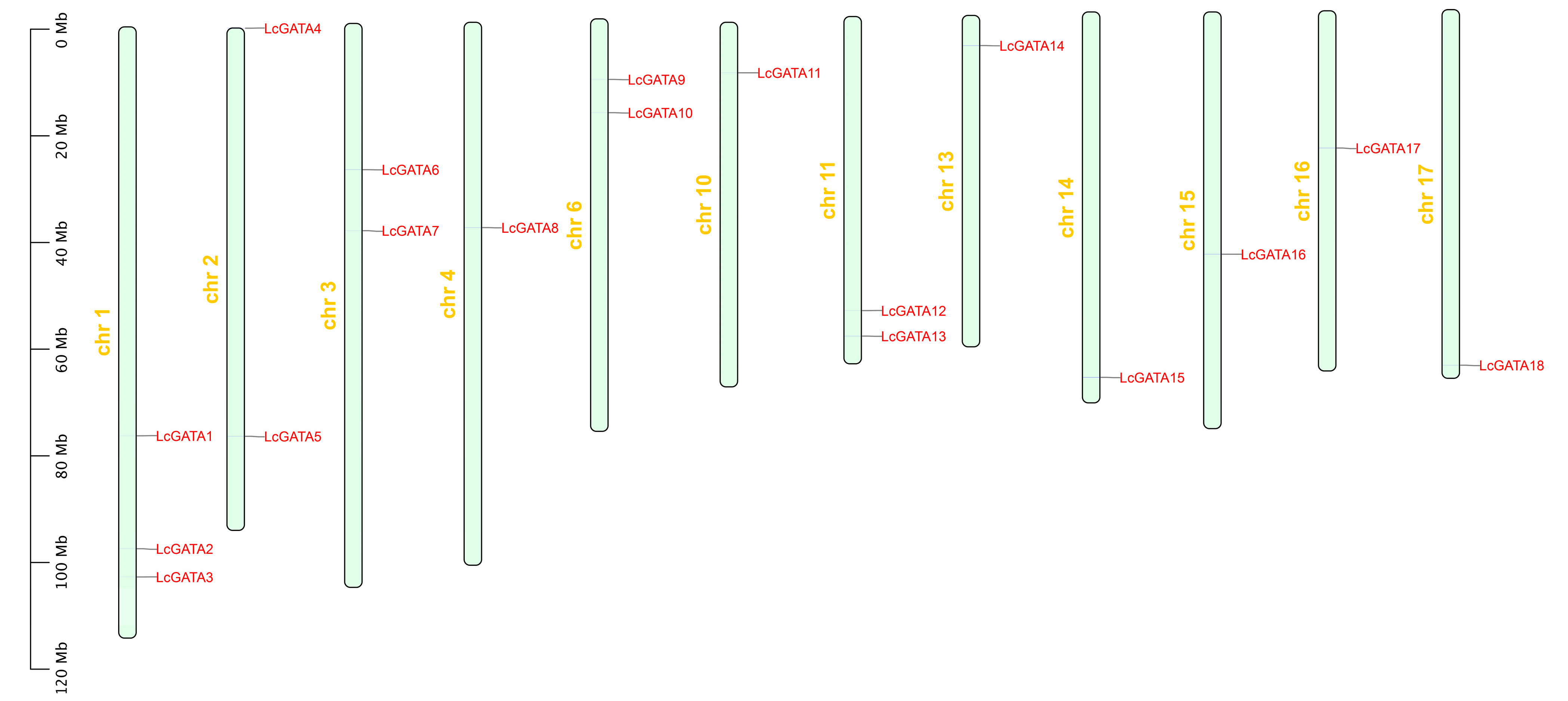 Plants 12 02349 g002