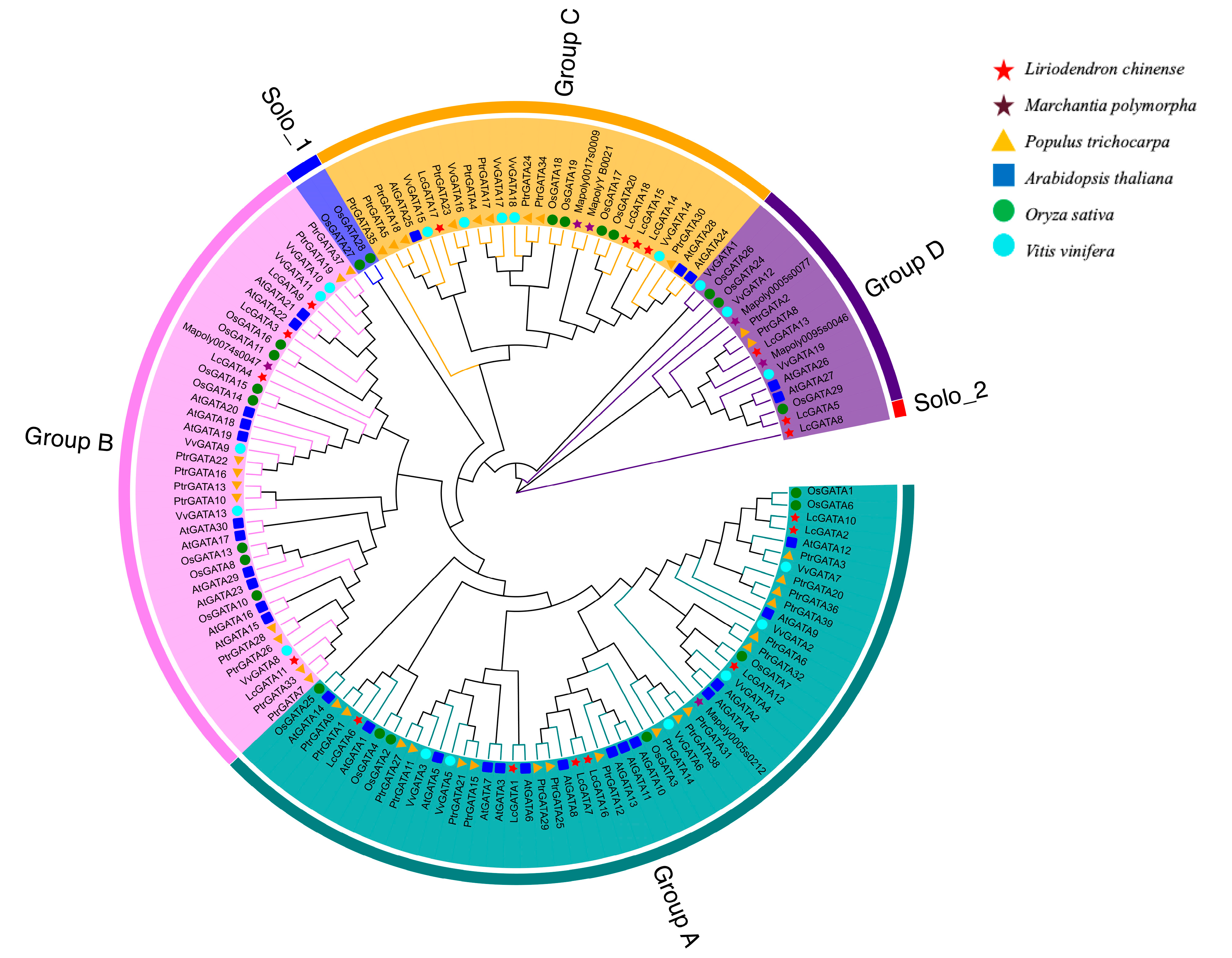 Plants 12 02349 g003