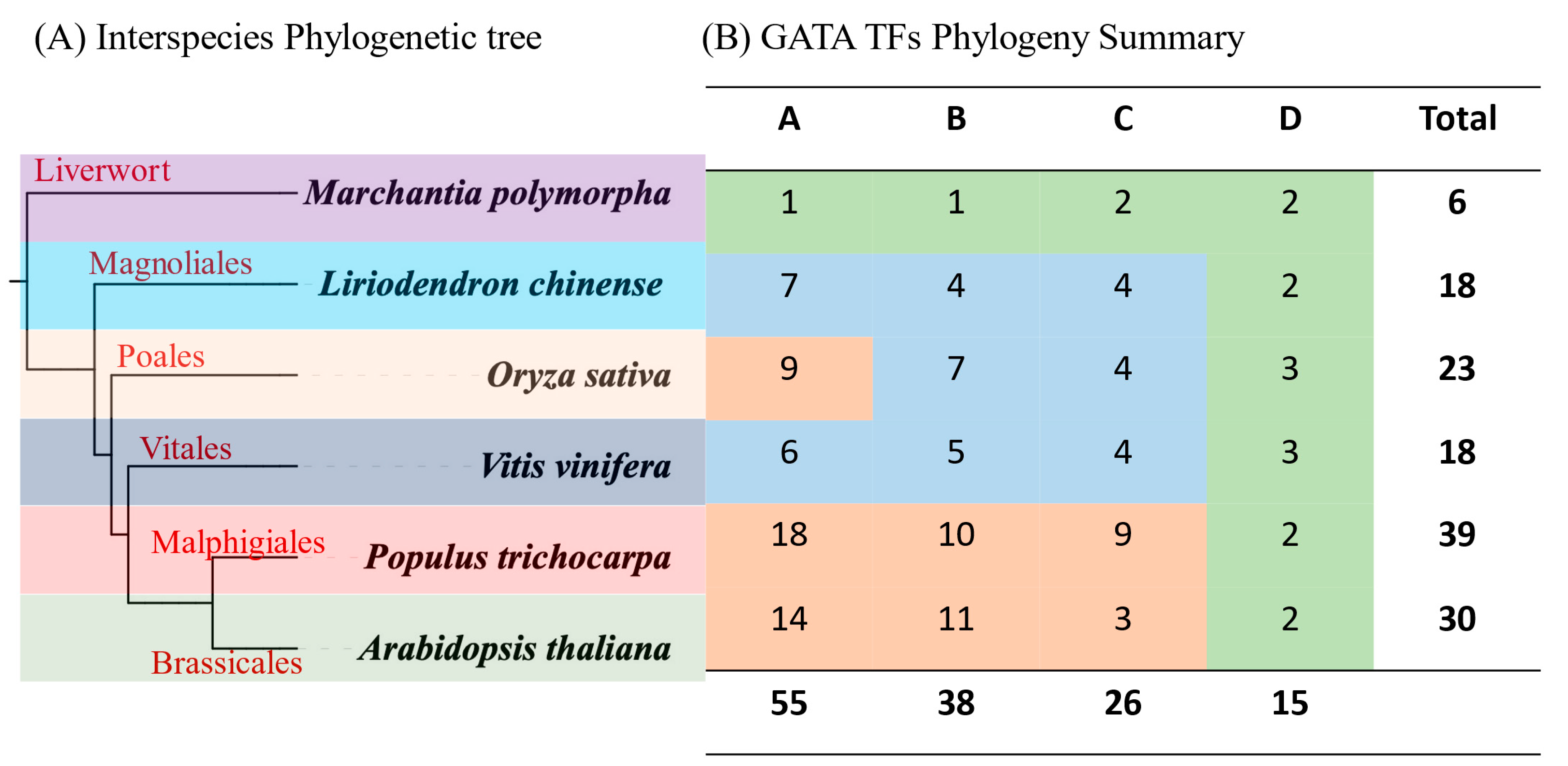 Plants 12 02349 g004