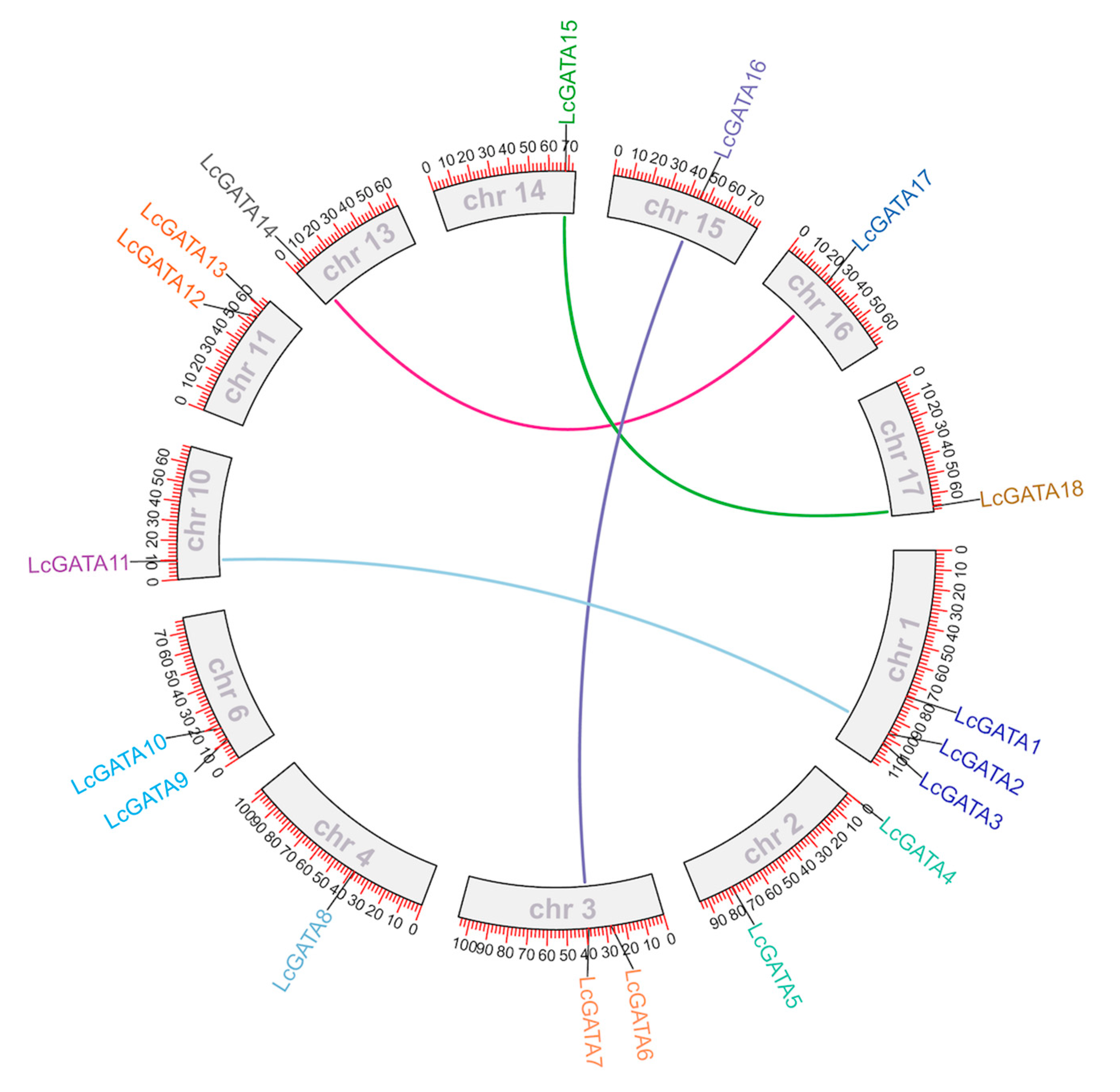 Plants 12 02349 g006