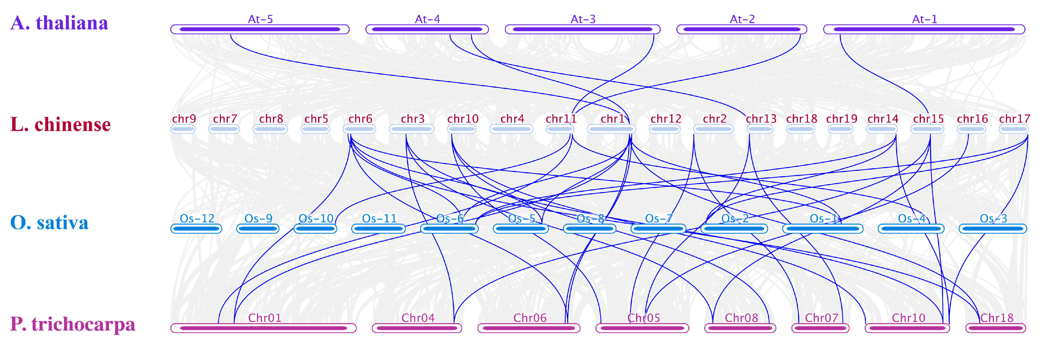 Plants 12 02349 g007