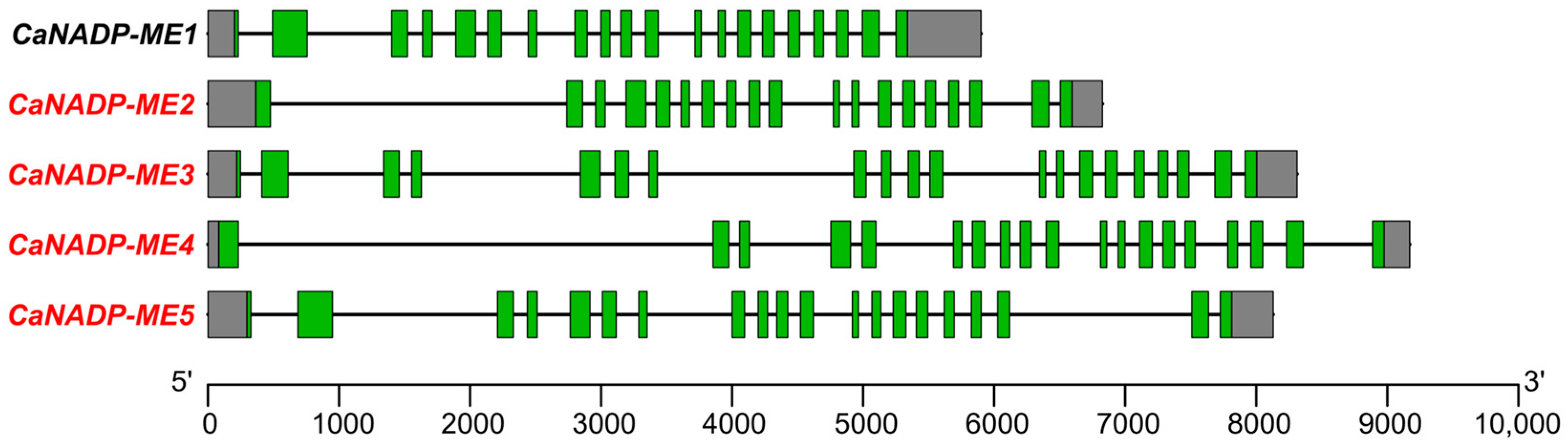 Plants 12 02353 g001 Plants 12 02353 g001