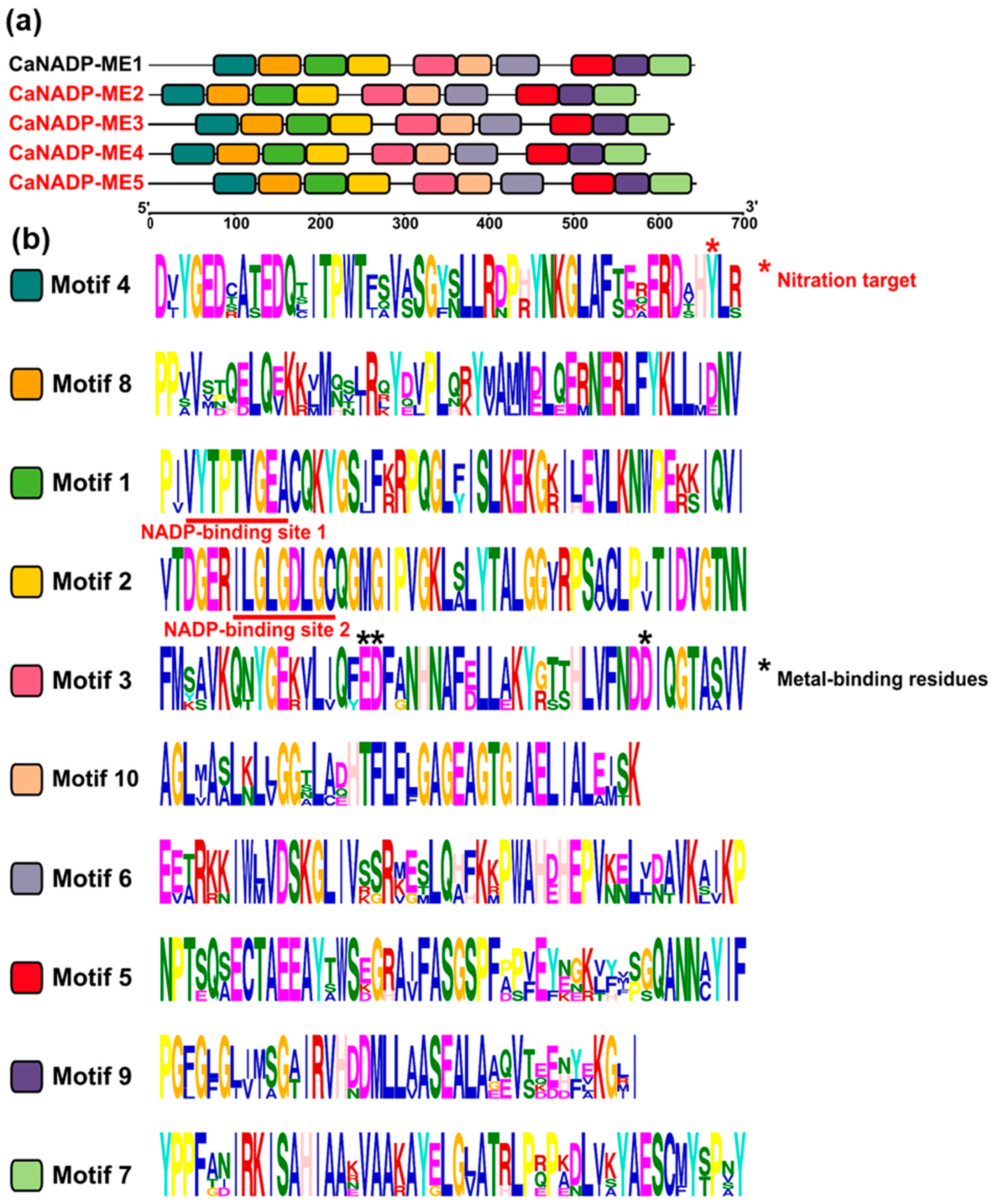 Plants 12 02353 g003 Plants 12 02353 g003