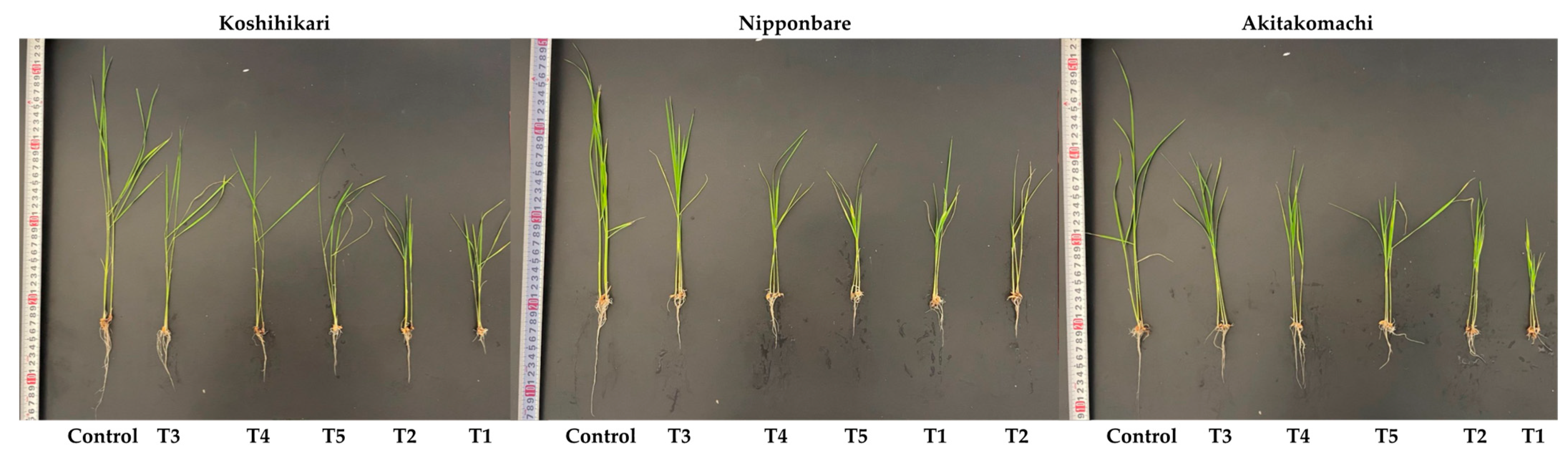 Plants 12 02359 g001