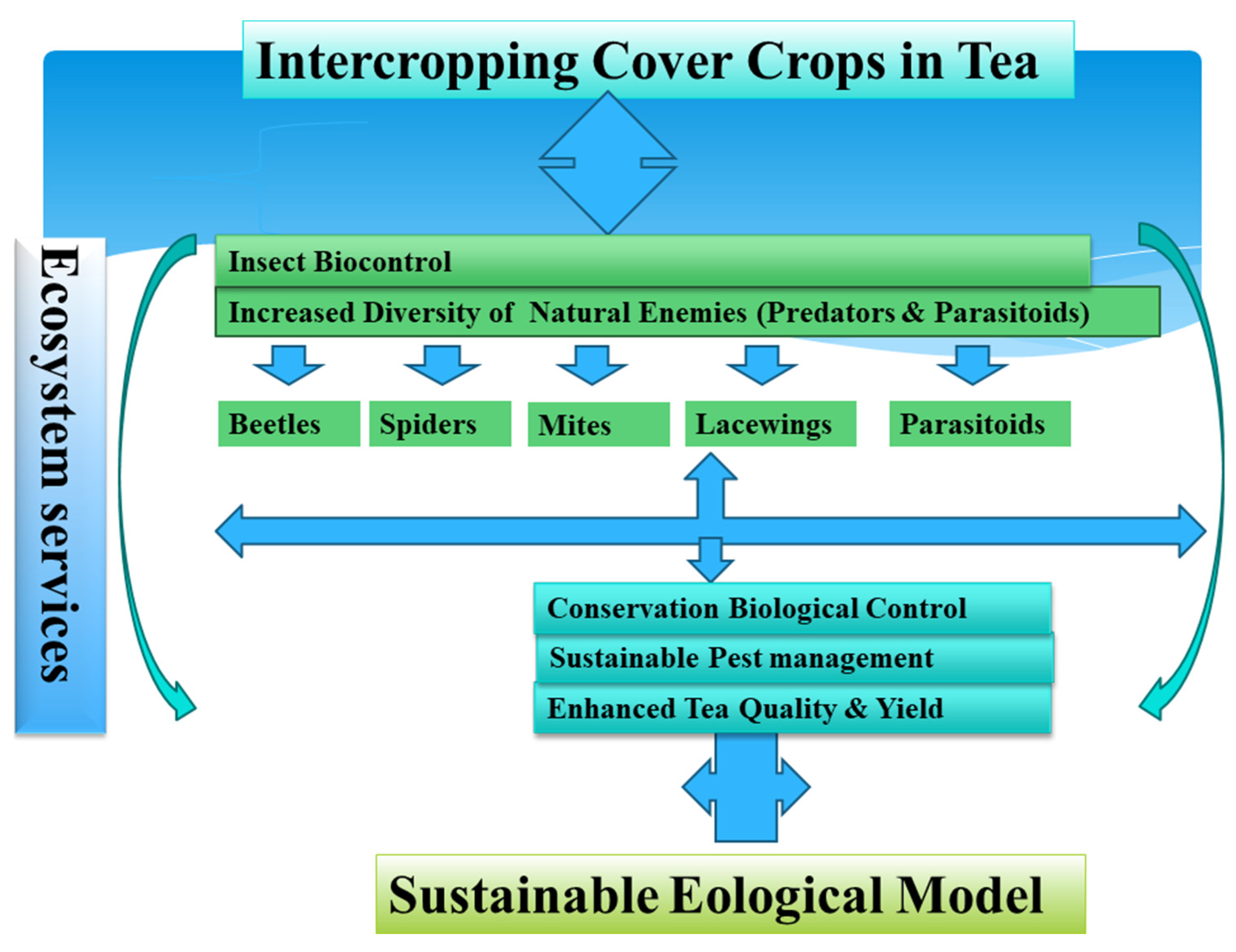 Plants 12 02361 g003