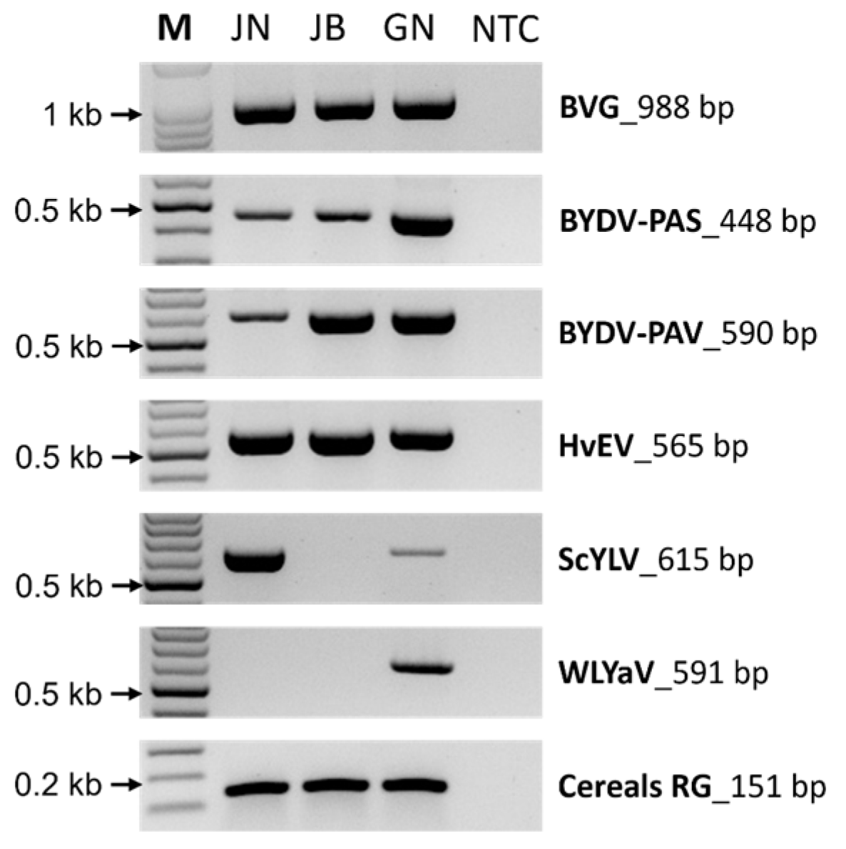 Plants 12 02374 g004