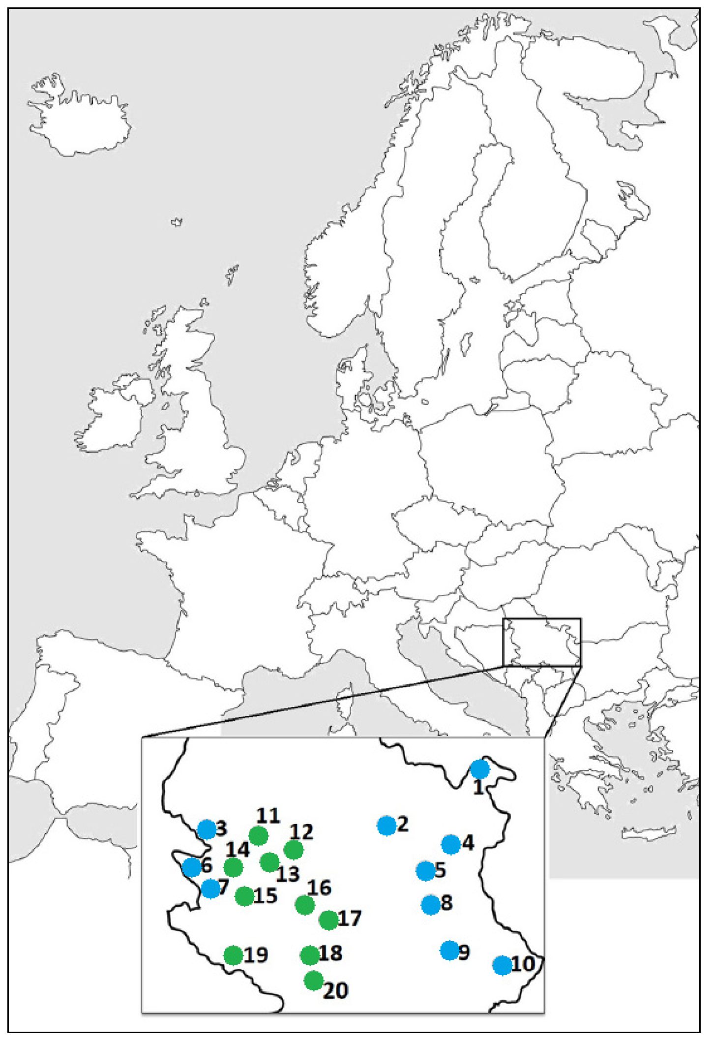 Plants 12 02381 g001