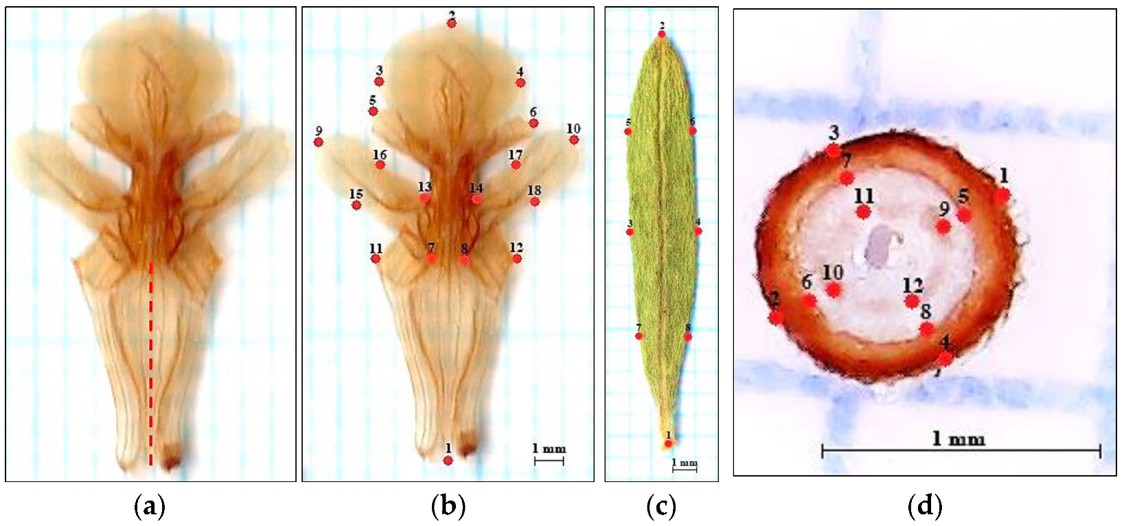 Plants 12 02381 g002