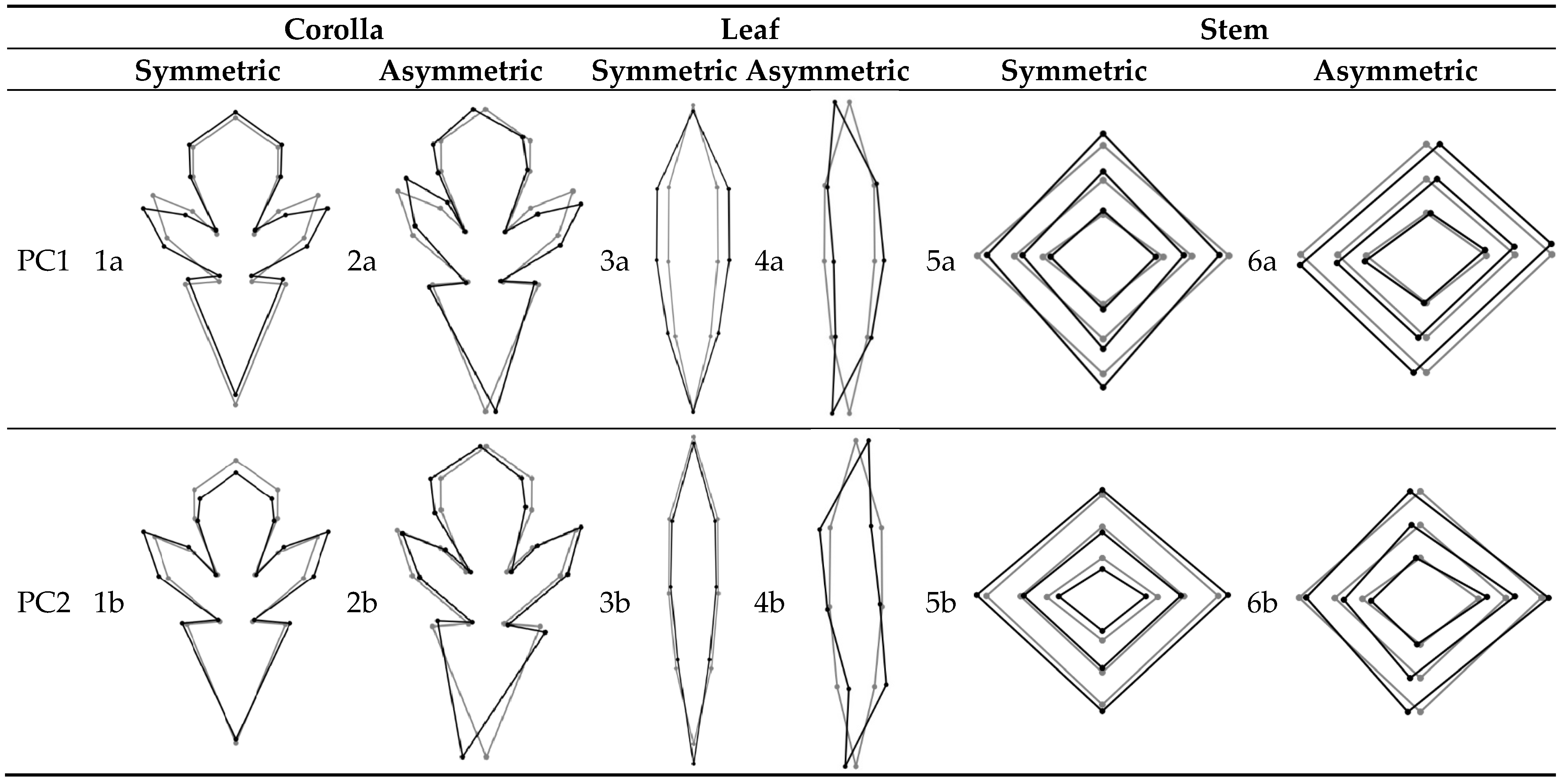 Plants 12 02381 g0a1a