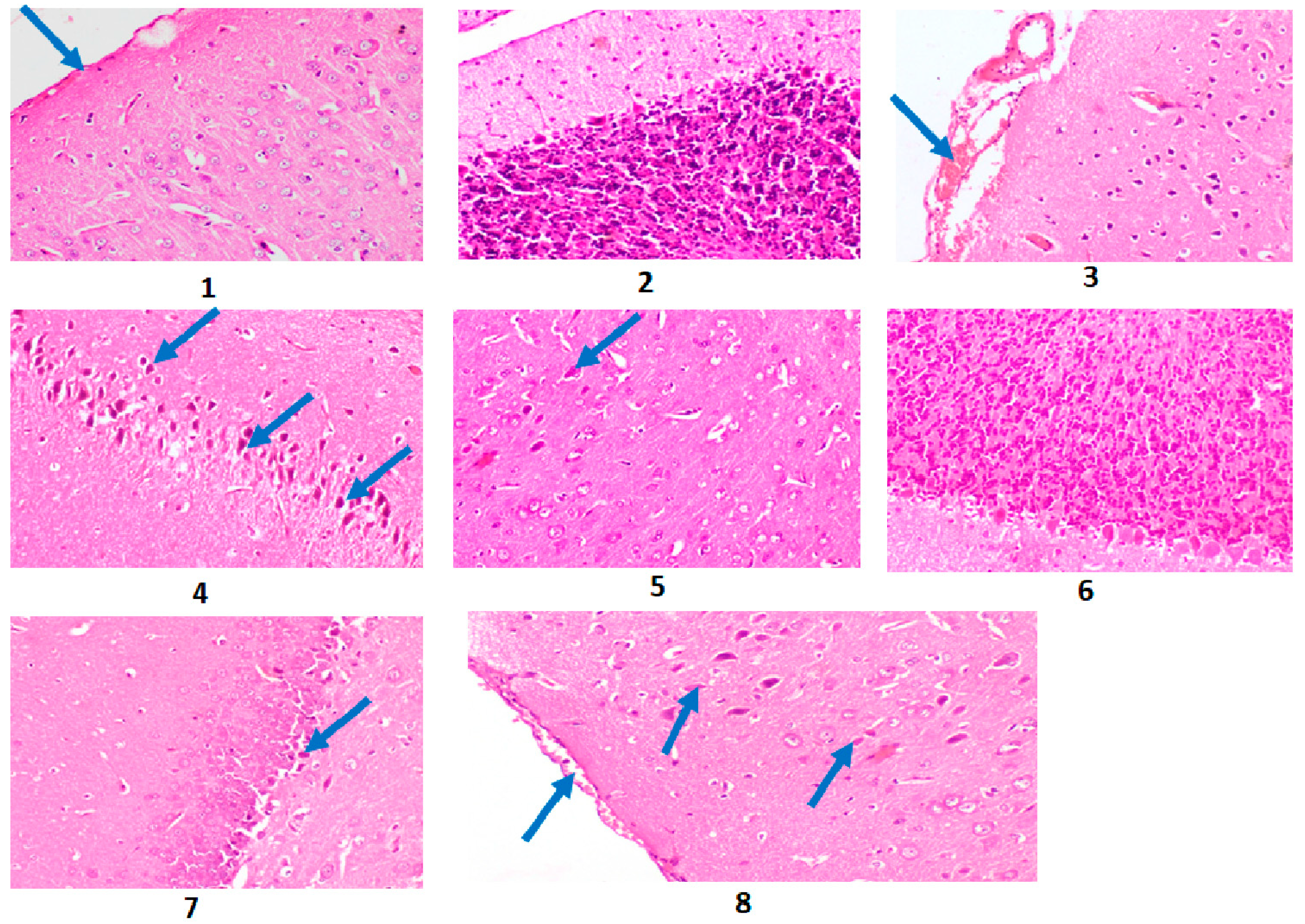 Plants 12 02382 g001 Plants 12 02382 g001