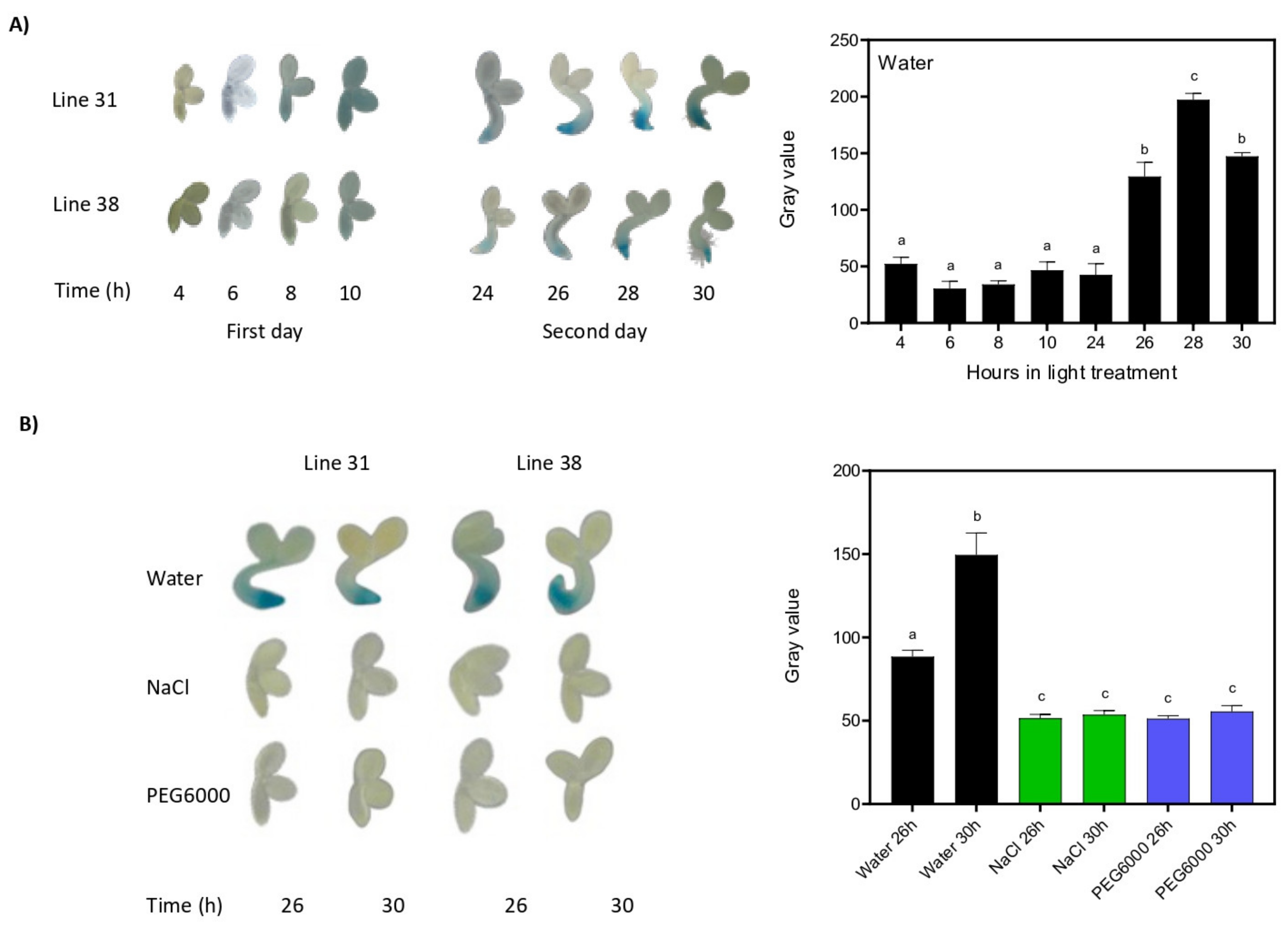Plants 12 02392 g002 Plants 12 02392 g002