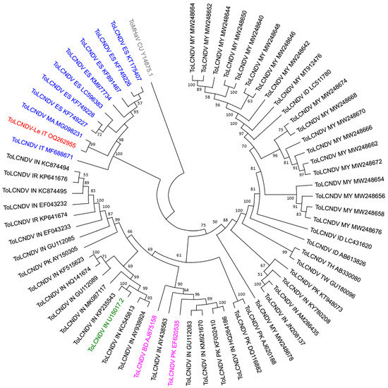 Molecular Characterization of a Recombinant Isolate of Tomato Leaf Curl ...