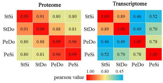 Combined Transcriptome and Proteome Analysis Provides Insights into ...