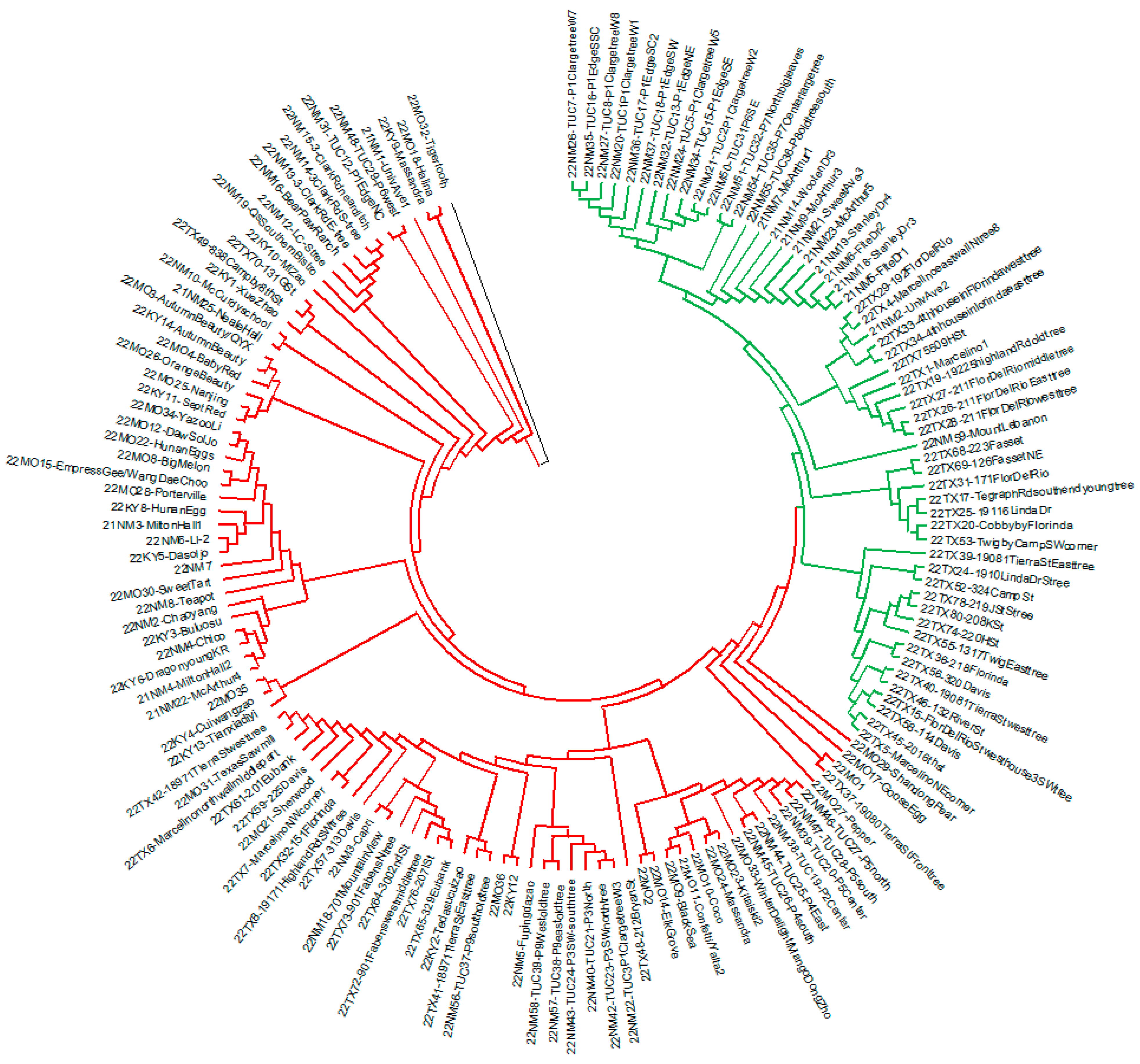 Plants 12 02405 g006 Plants 12 02405 g006
