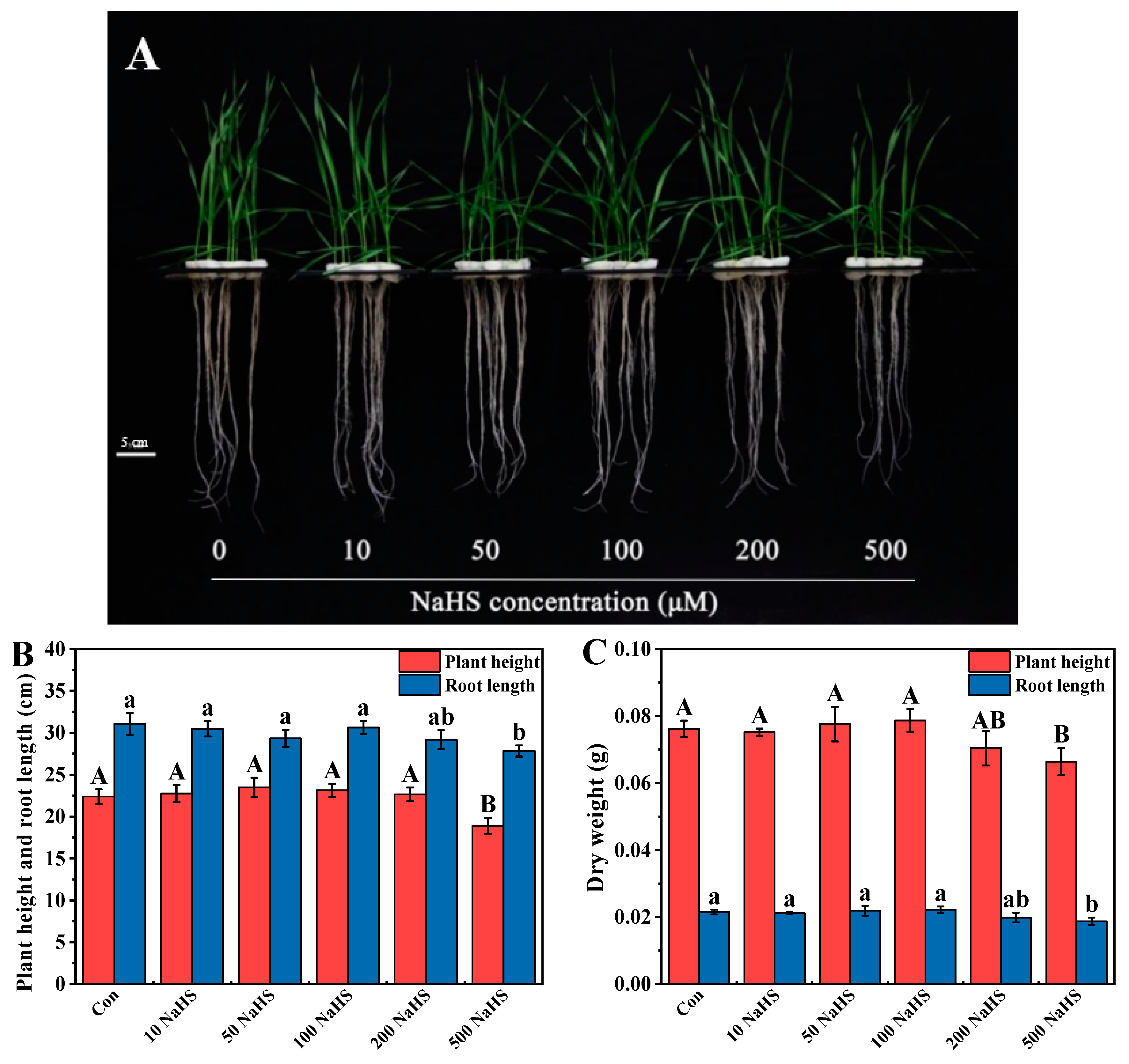 Plants 12 02413 g001