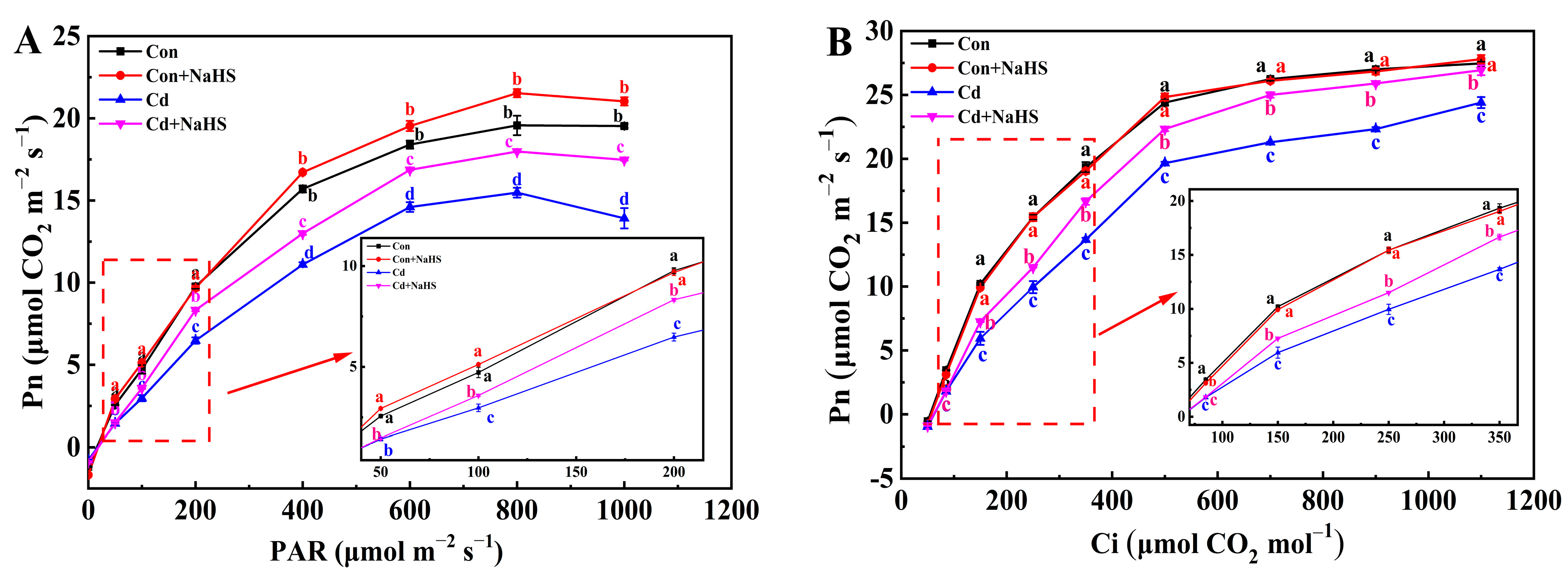 Plants 12 02413 g003
