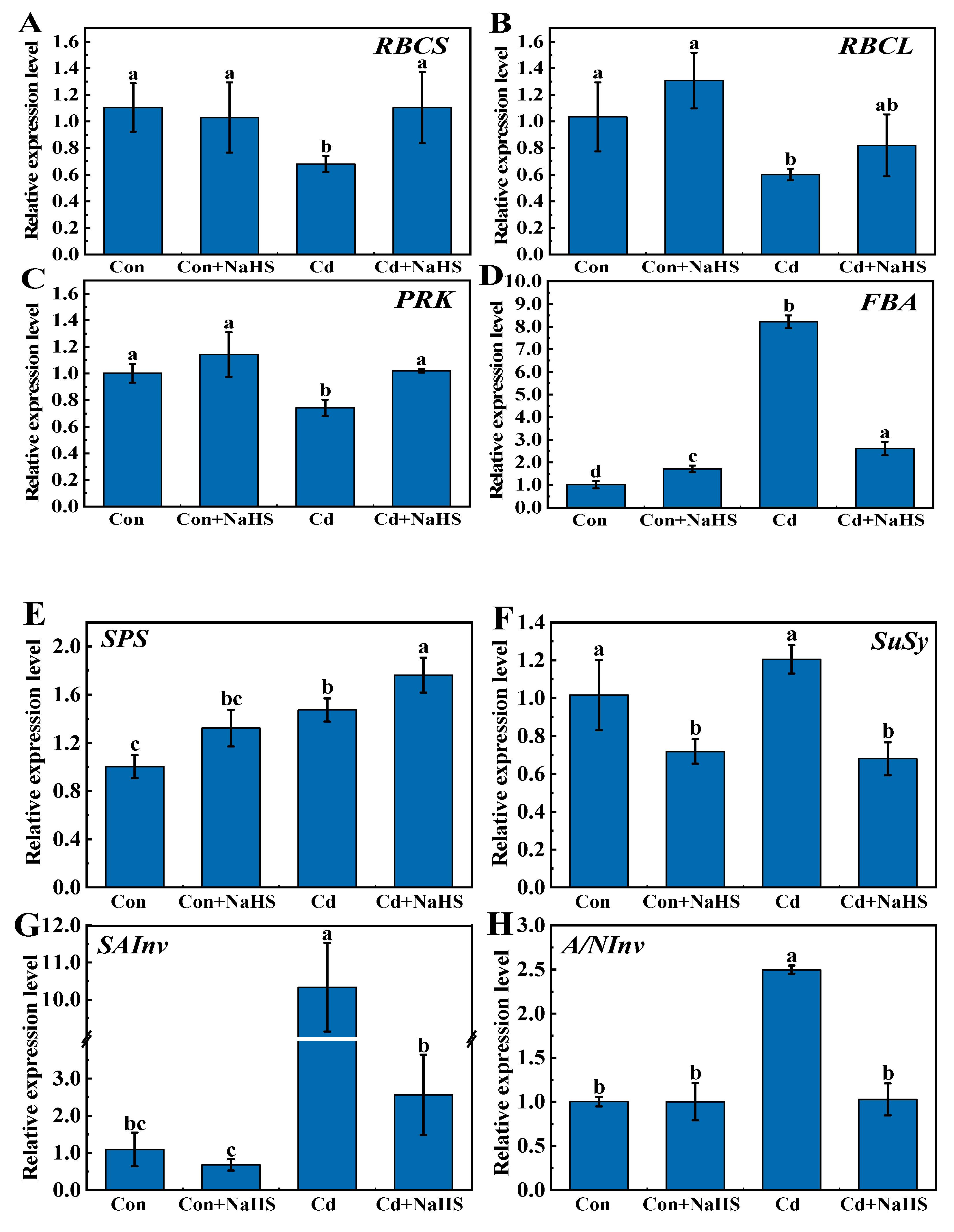 Plants 12 02413 g006