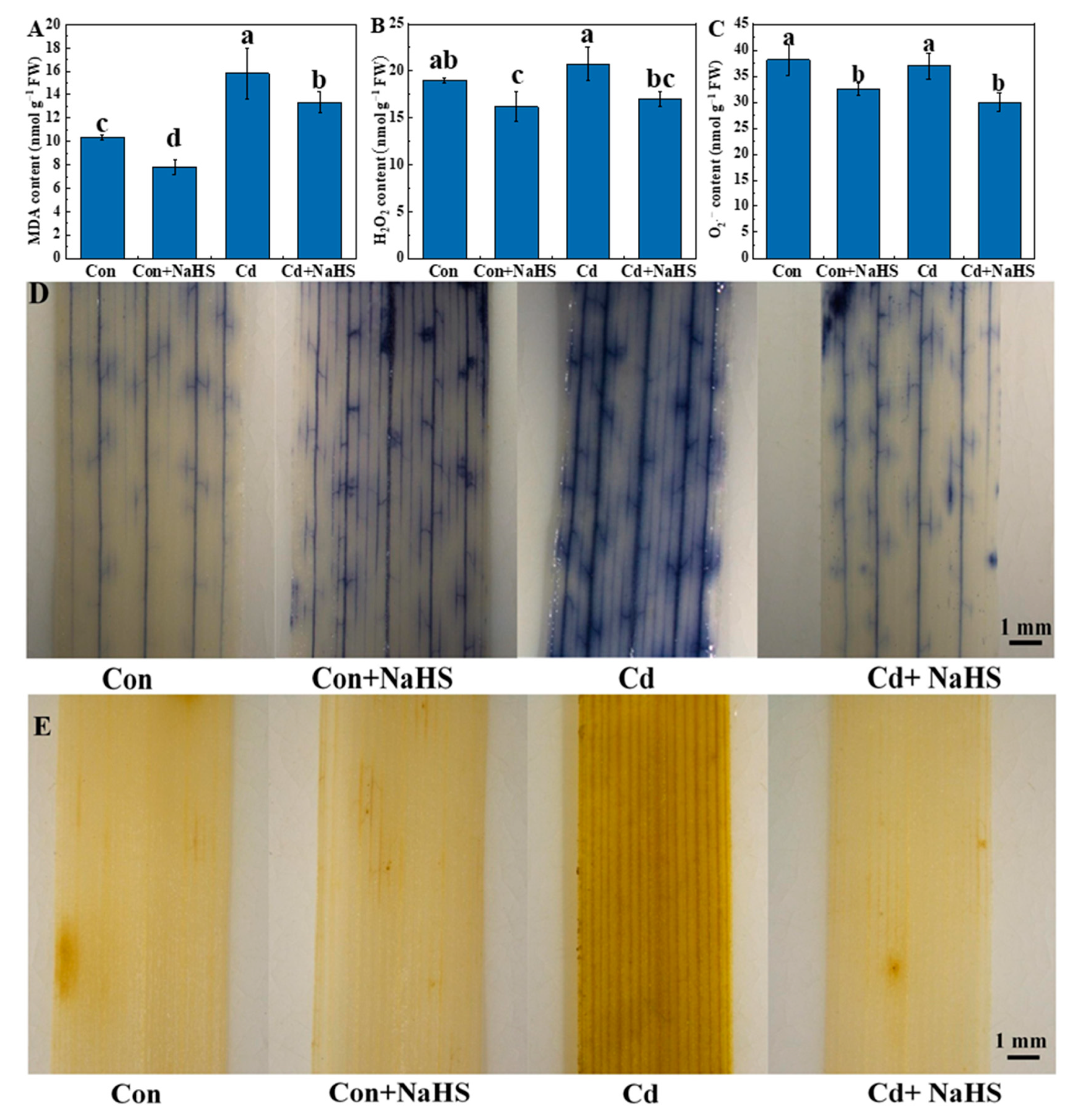 Plants 12 02413 g007
