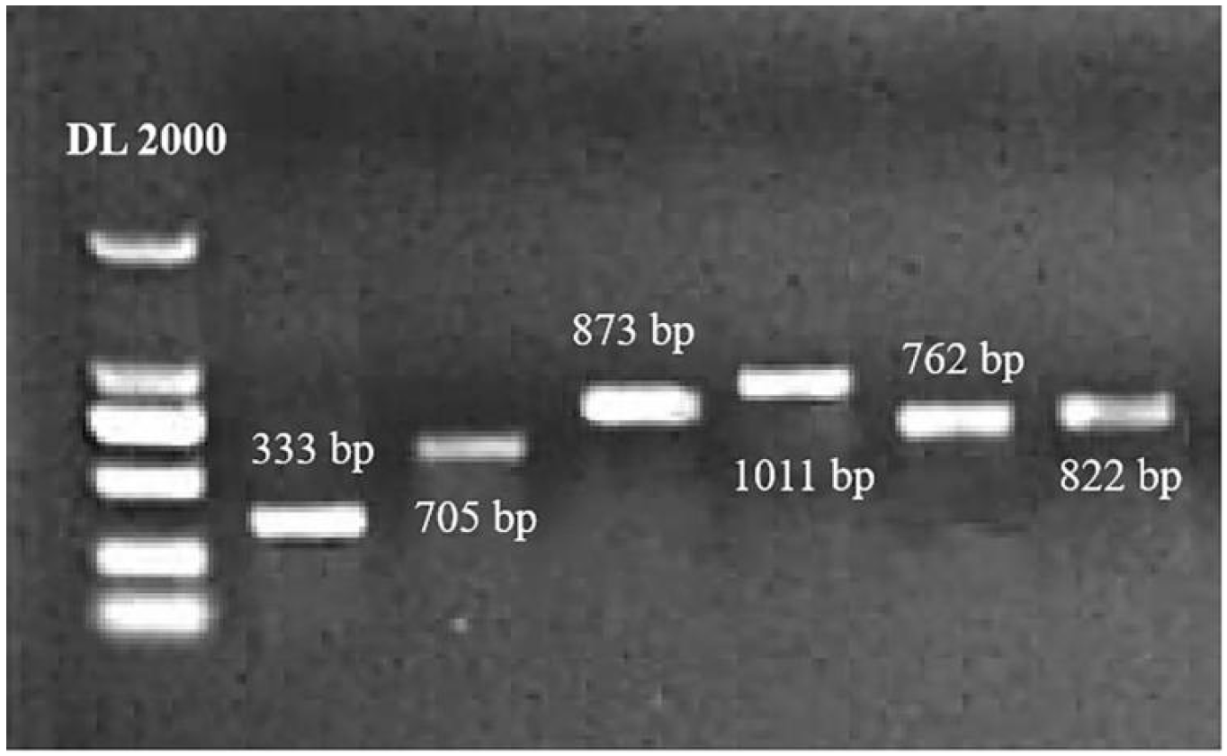 Plants 12 02416 g001 Plants 12 02416 g001