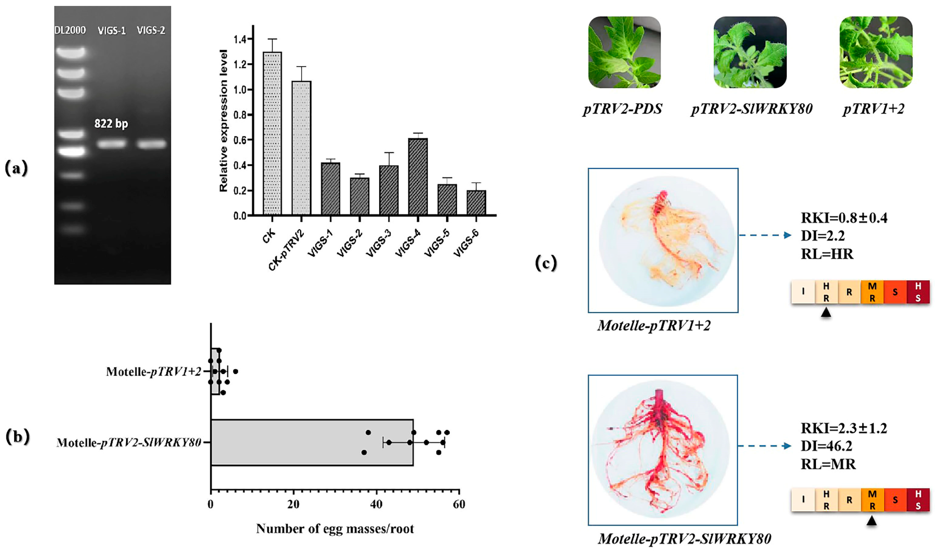 Plants 12 02416 g009 Plants 12 02416 g009