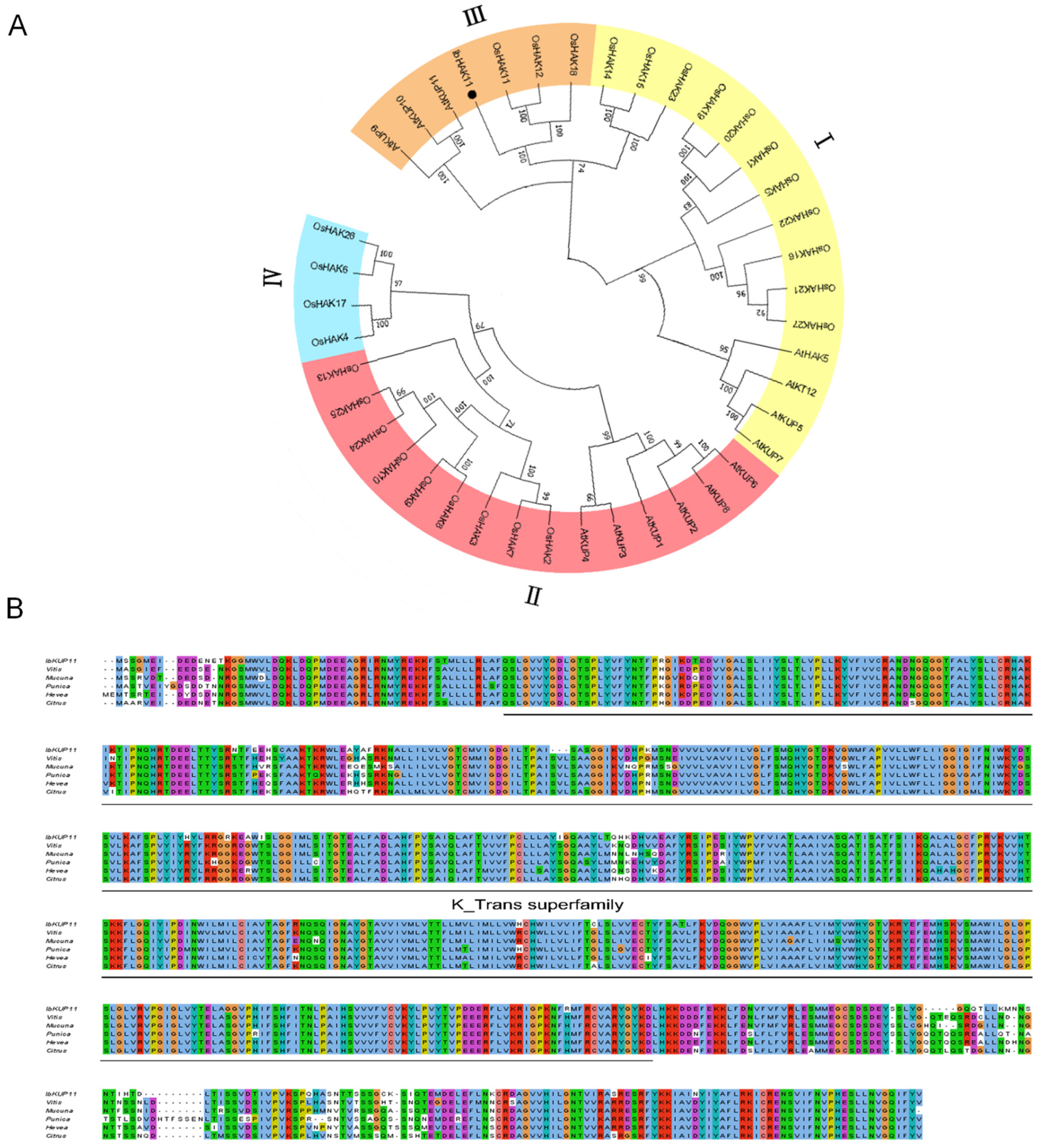 Plants 12 02422 g001a Plants 12 02422 g001a