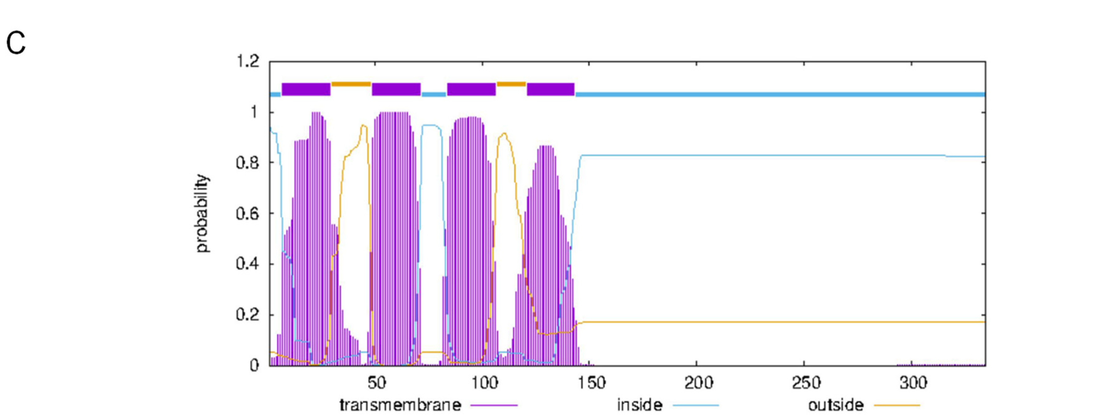 Plants 12 02422 g001b Plants 12 02422 g001b