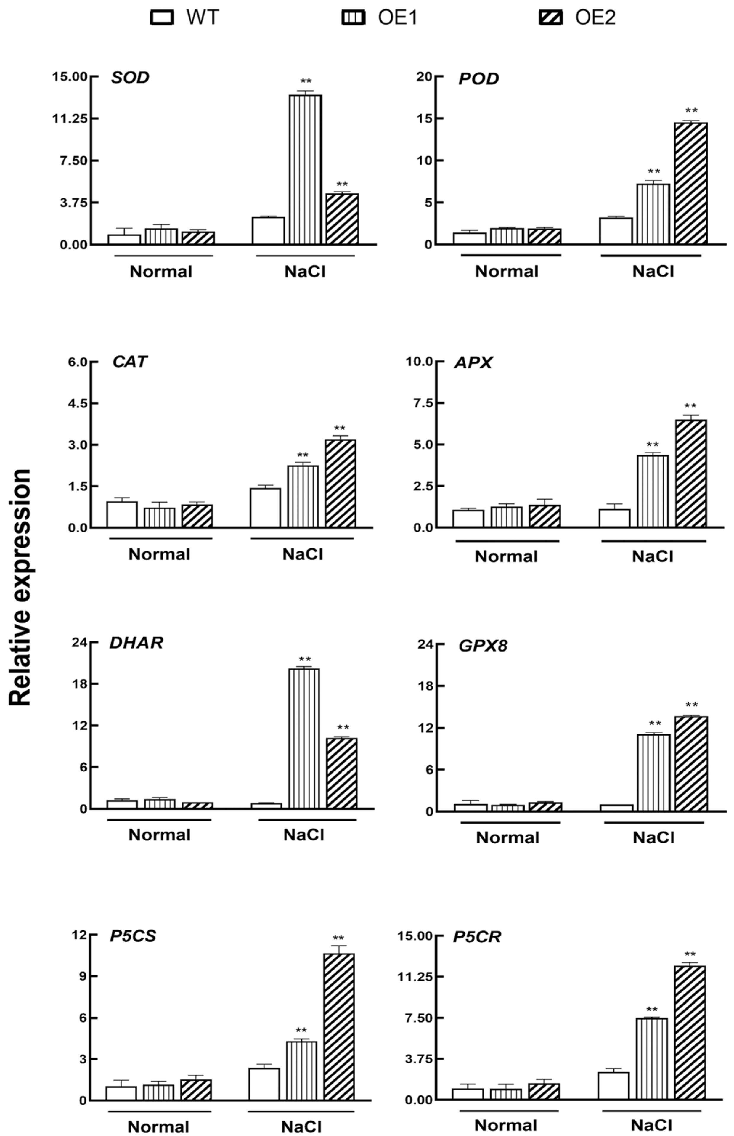 Plants 12 02422 g006 Plants 12 02422 g006