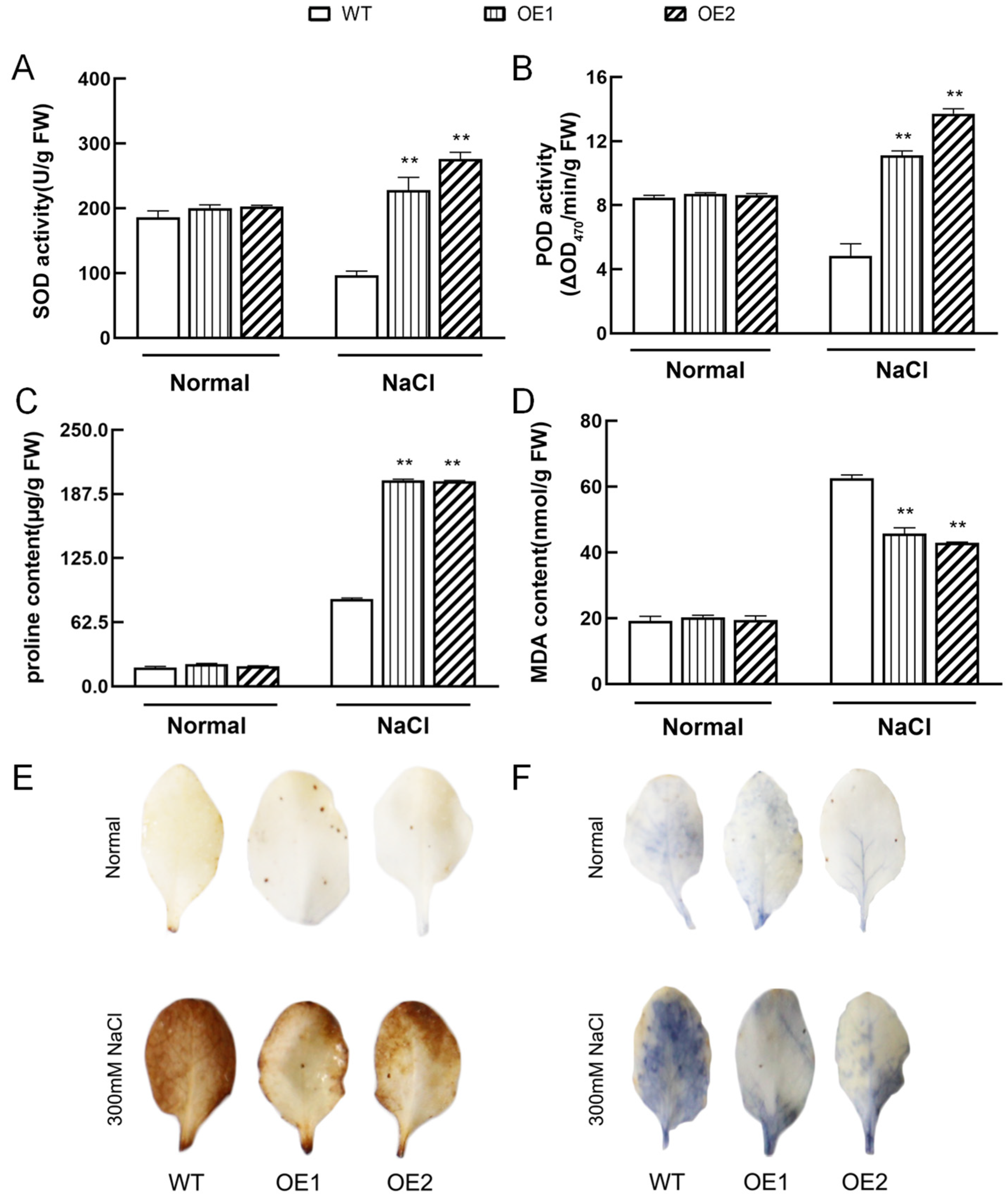 Plants 12 02422 g007 Plants 12 02422 g007