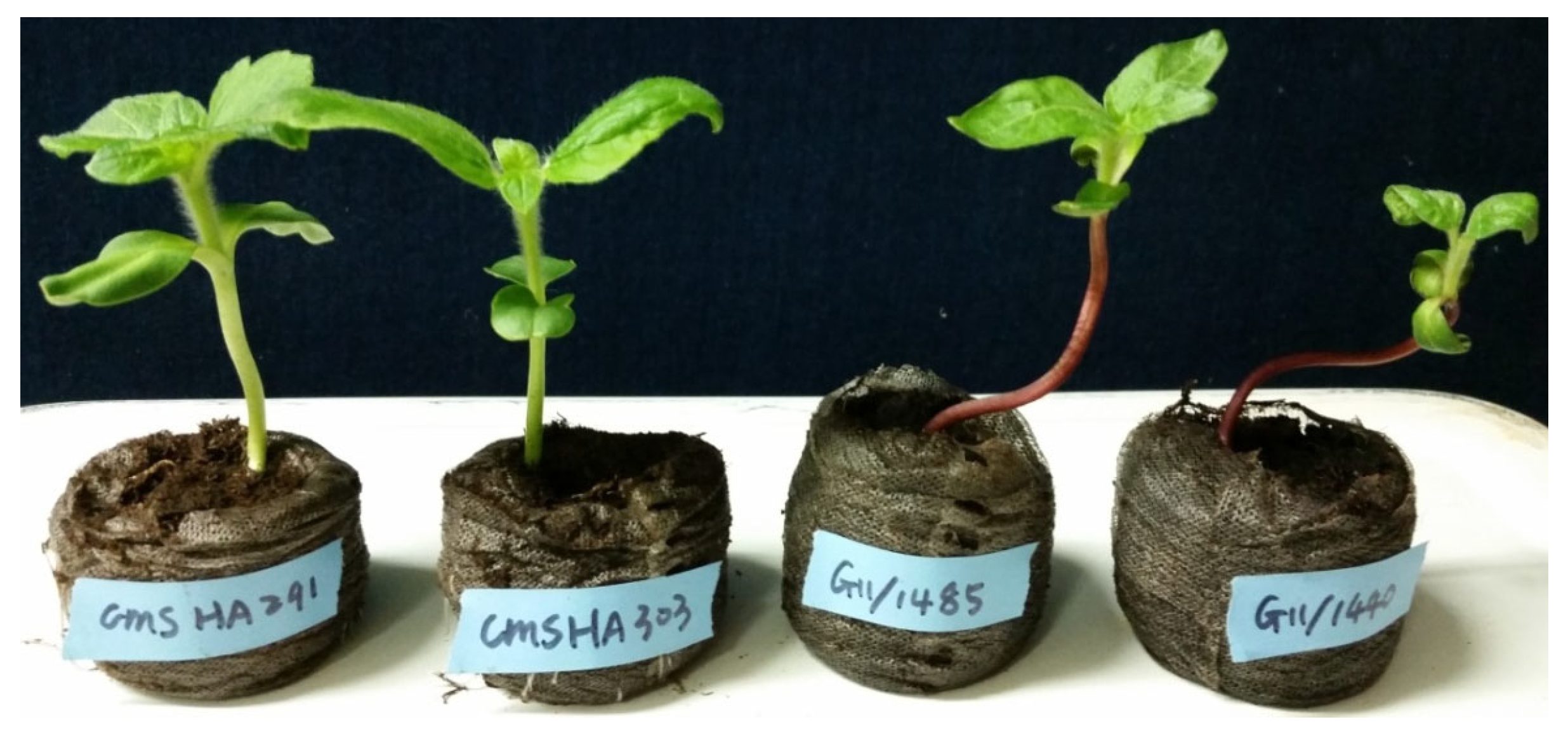 Plants 12 02430 g001 Plants 12 02430 g001