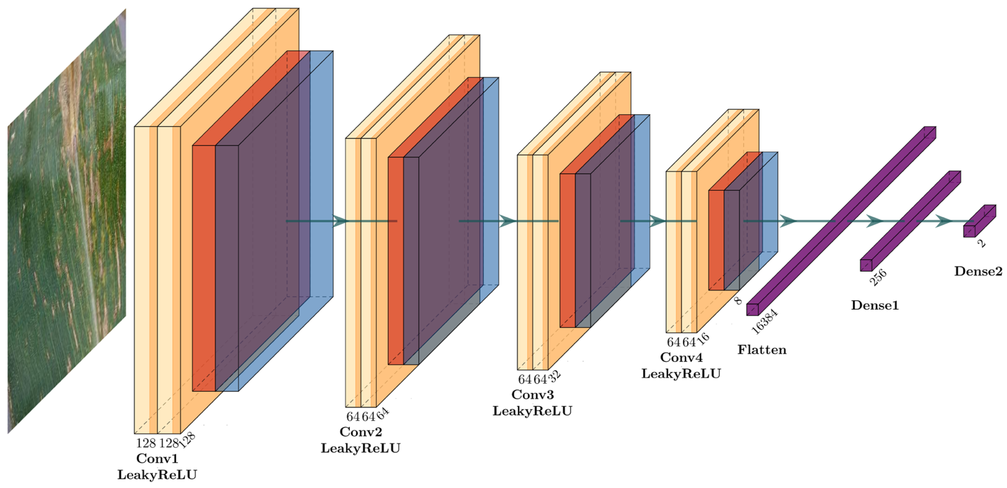 Plants 12 02433 g002