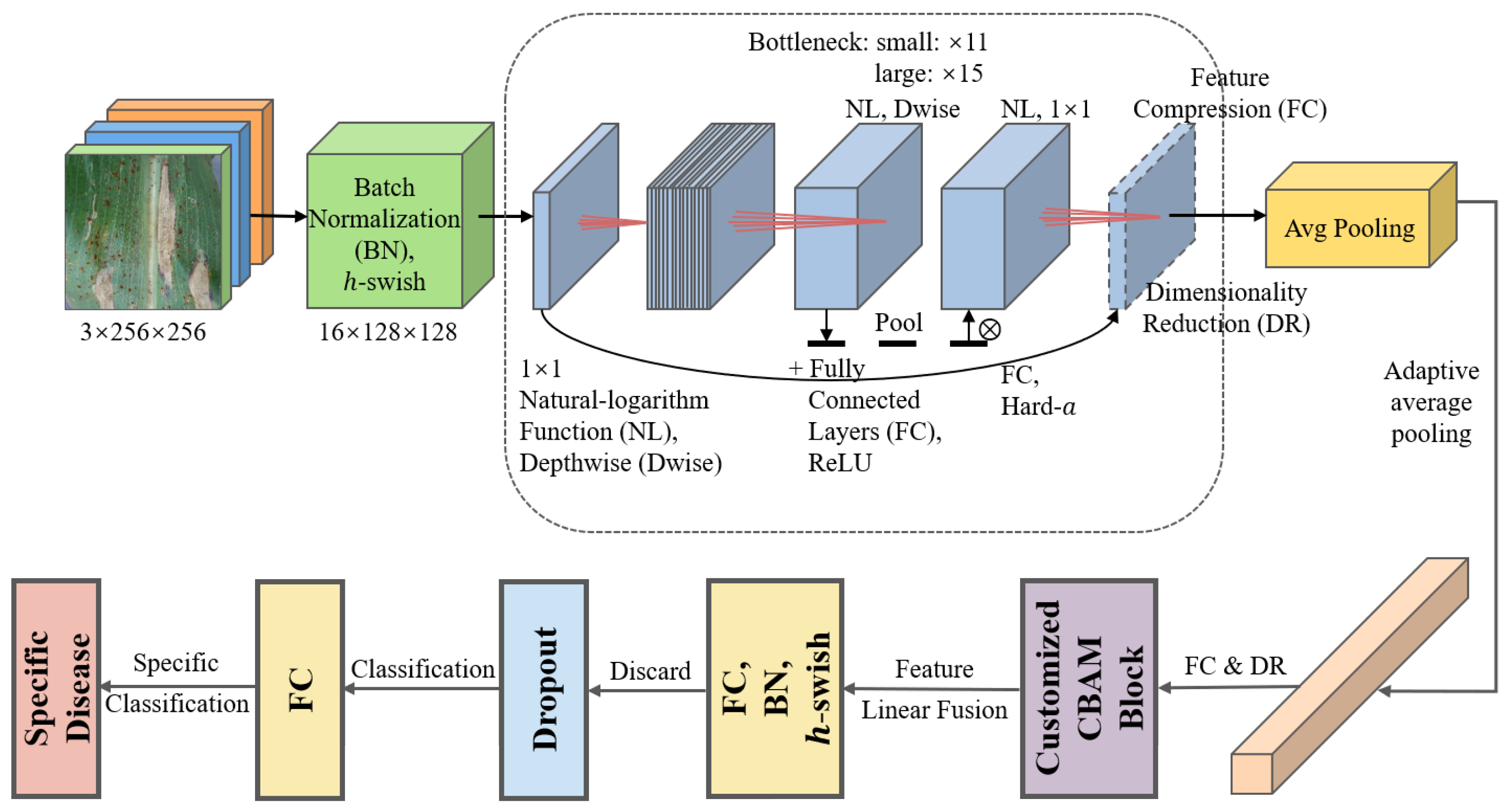 Plants 12 02433 g003