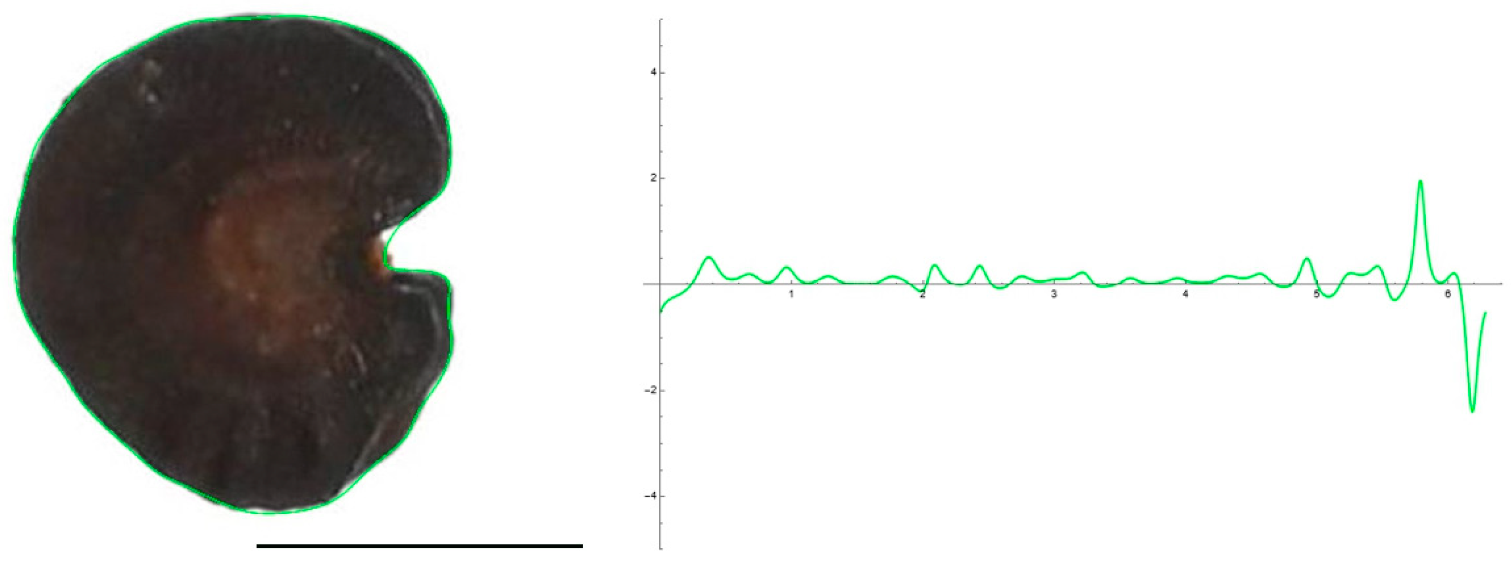 Plants 12 02439 g001 Plants 12 02439 g001