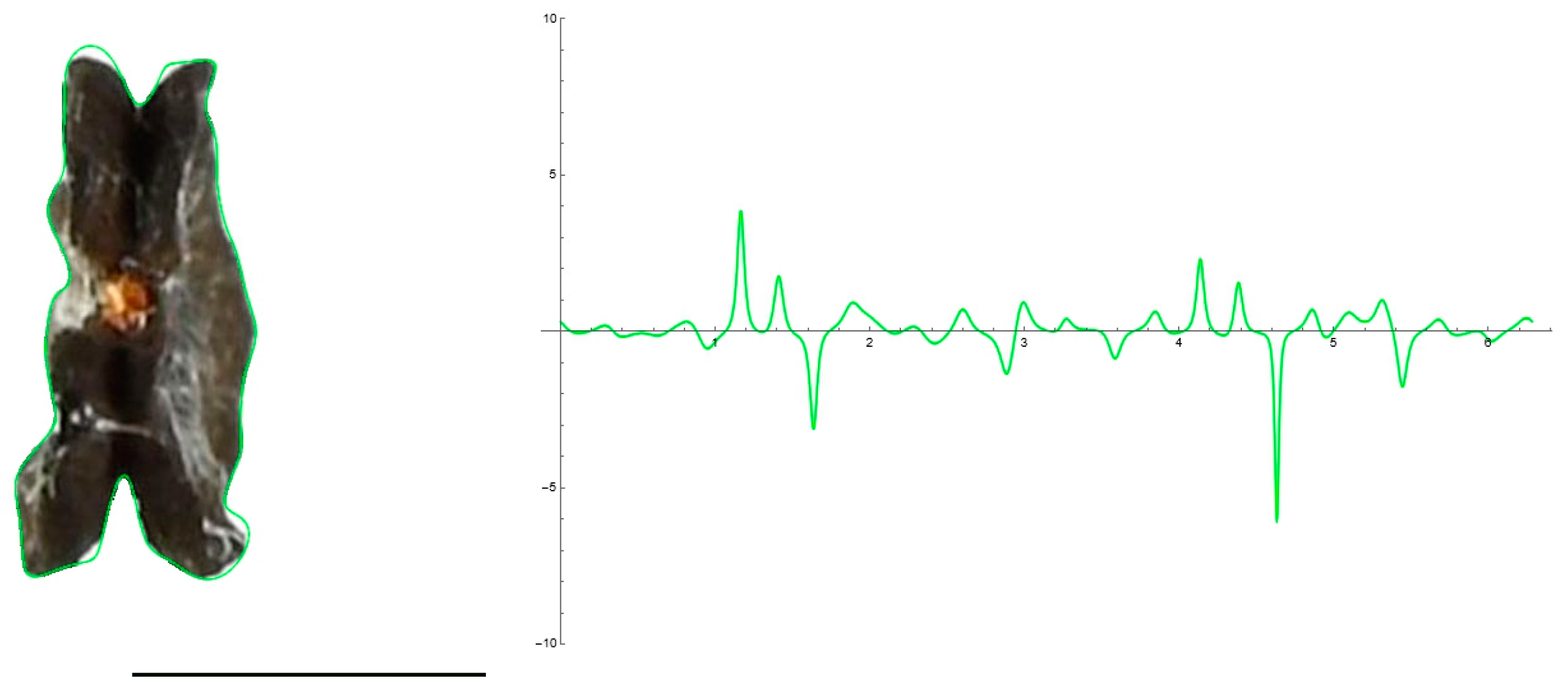 Plants 12 02439 g002 Plants 12 02439 g002