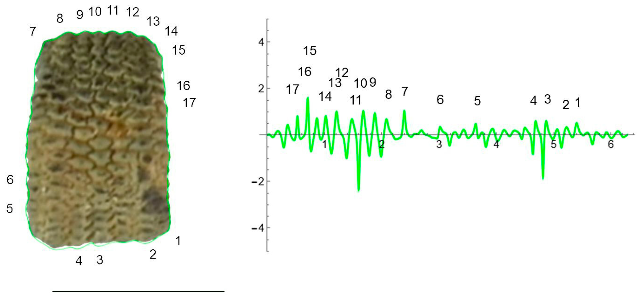 Plants 12 02439 g006 Plants 12 02439 g006