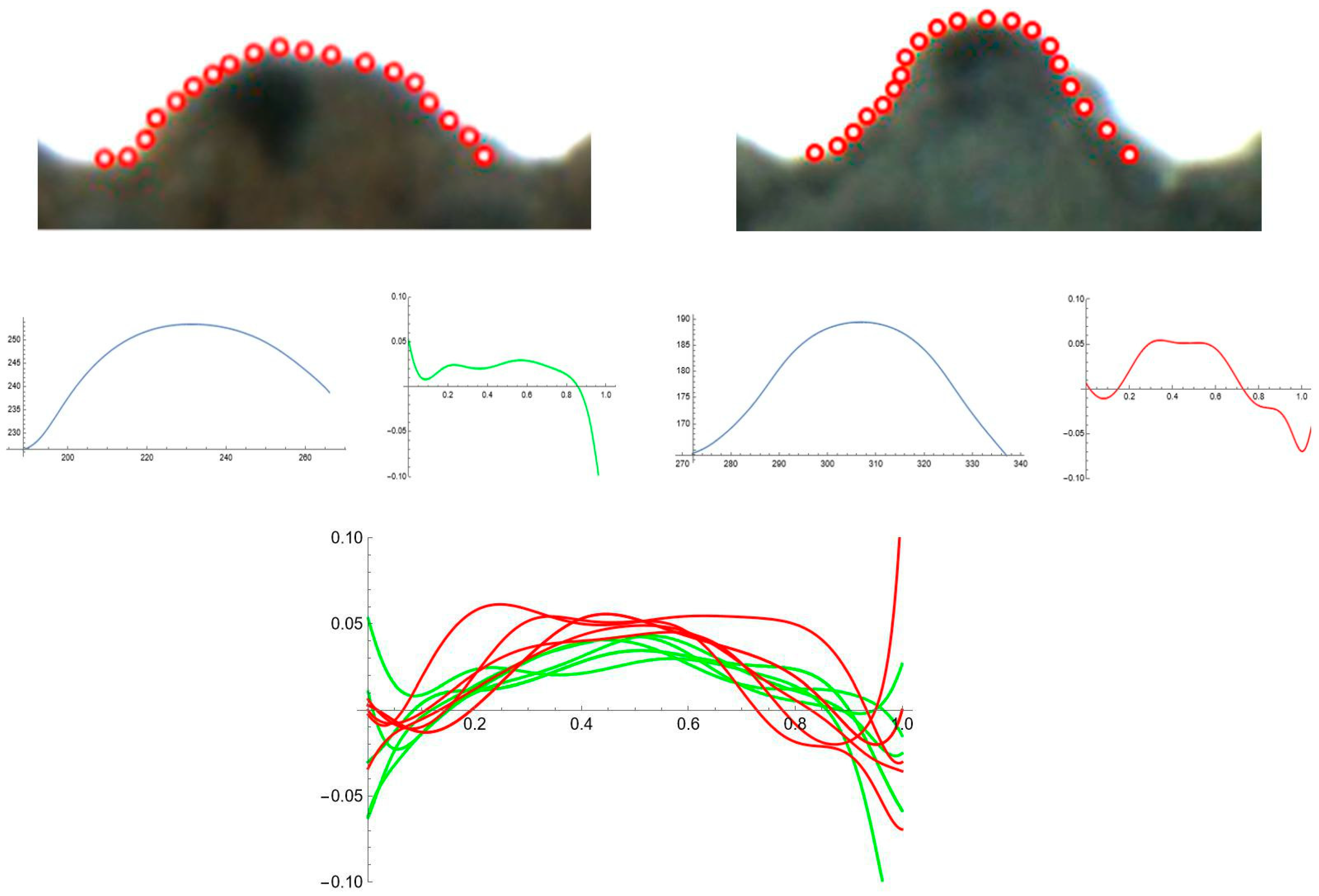 Plants 12 02439 g011 Plants 12 02439 g011