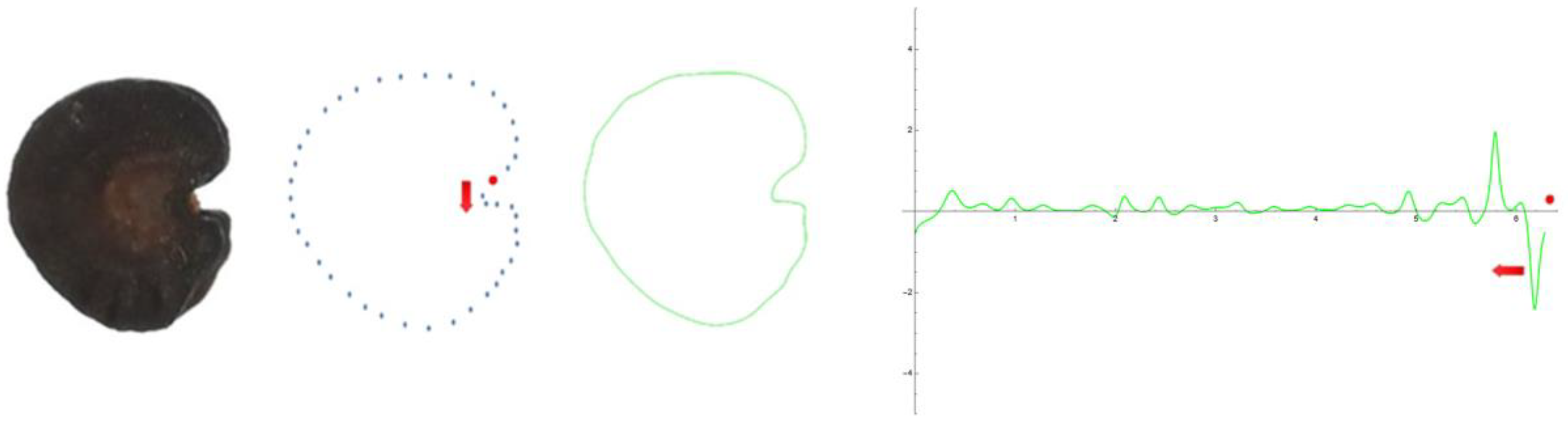 Plants 12 02439 g012 Plants 12 02439 g012