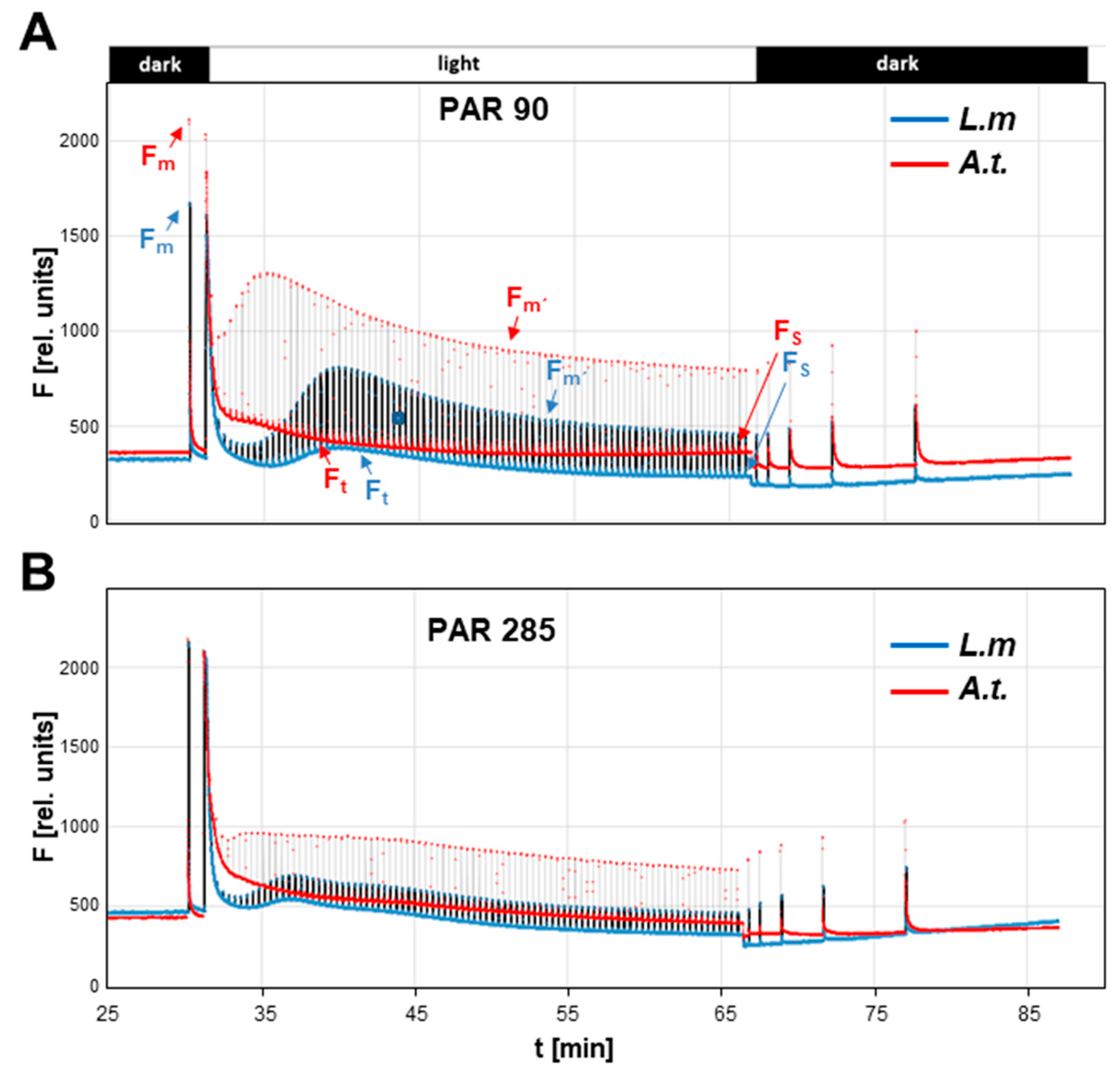 Plants 12 02442 g002