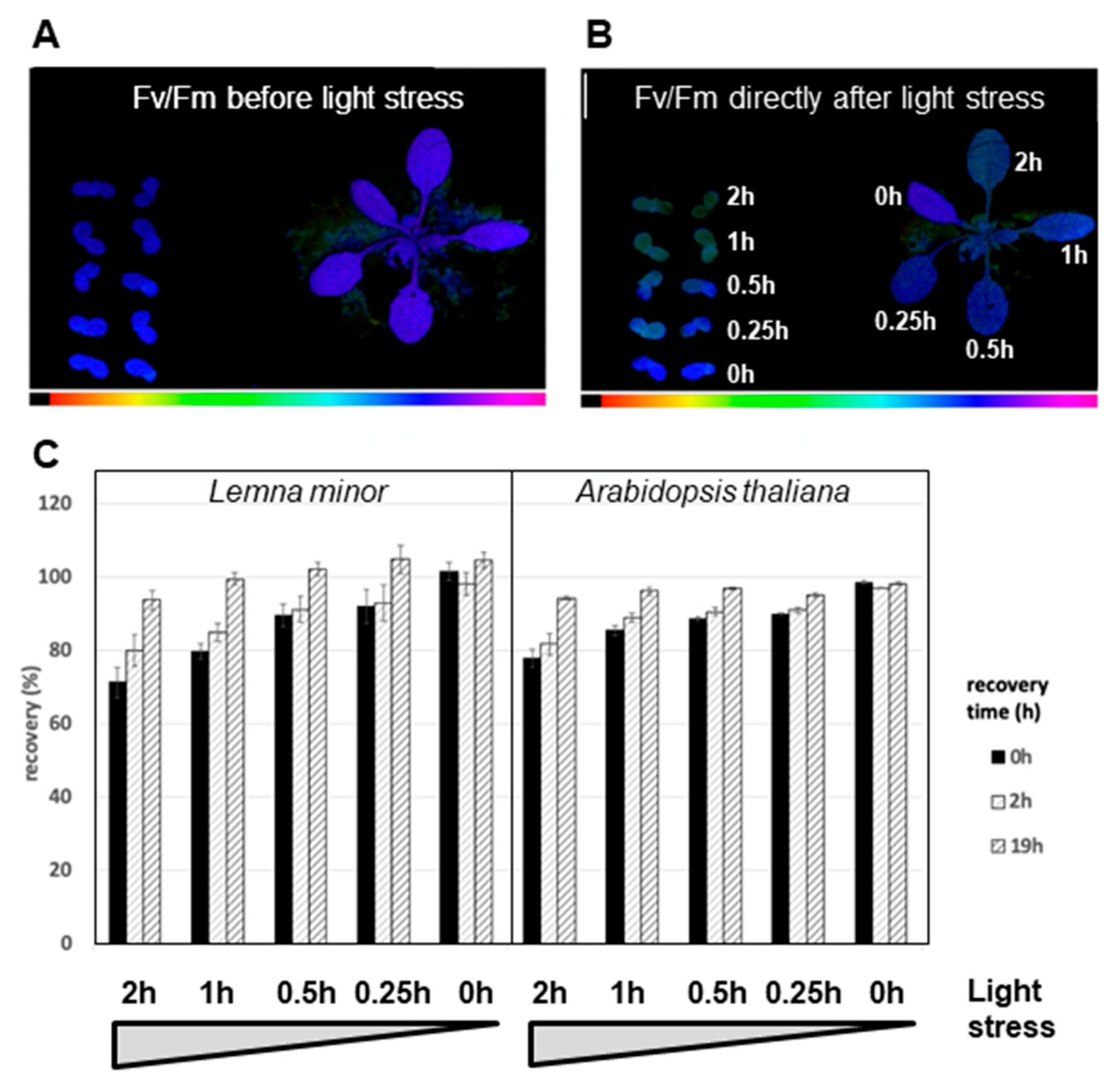 Plants 12 02442 g007