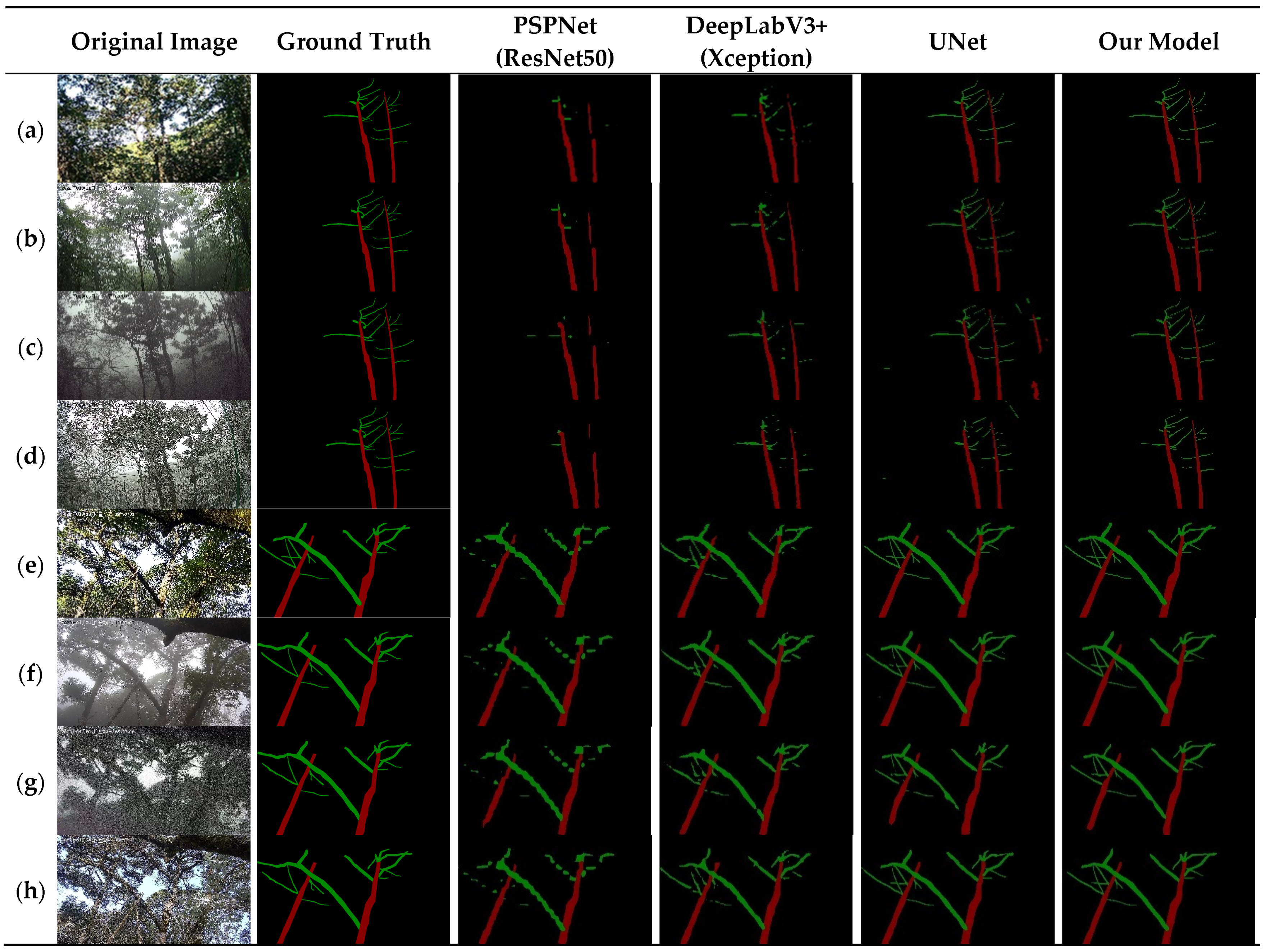 Plants 12 02444 g010 Plants 12 02444 g010