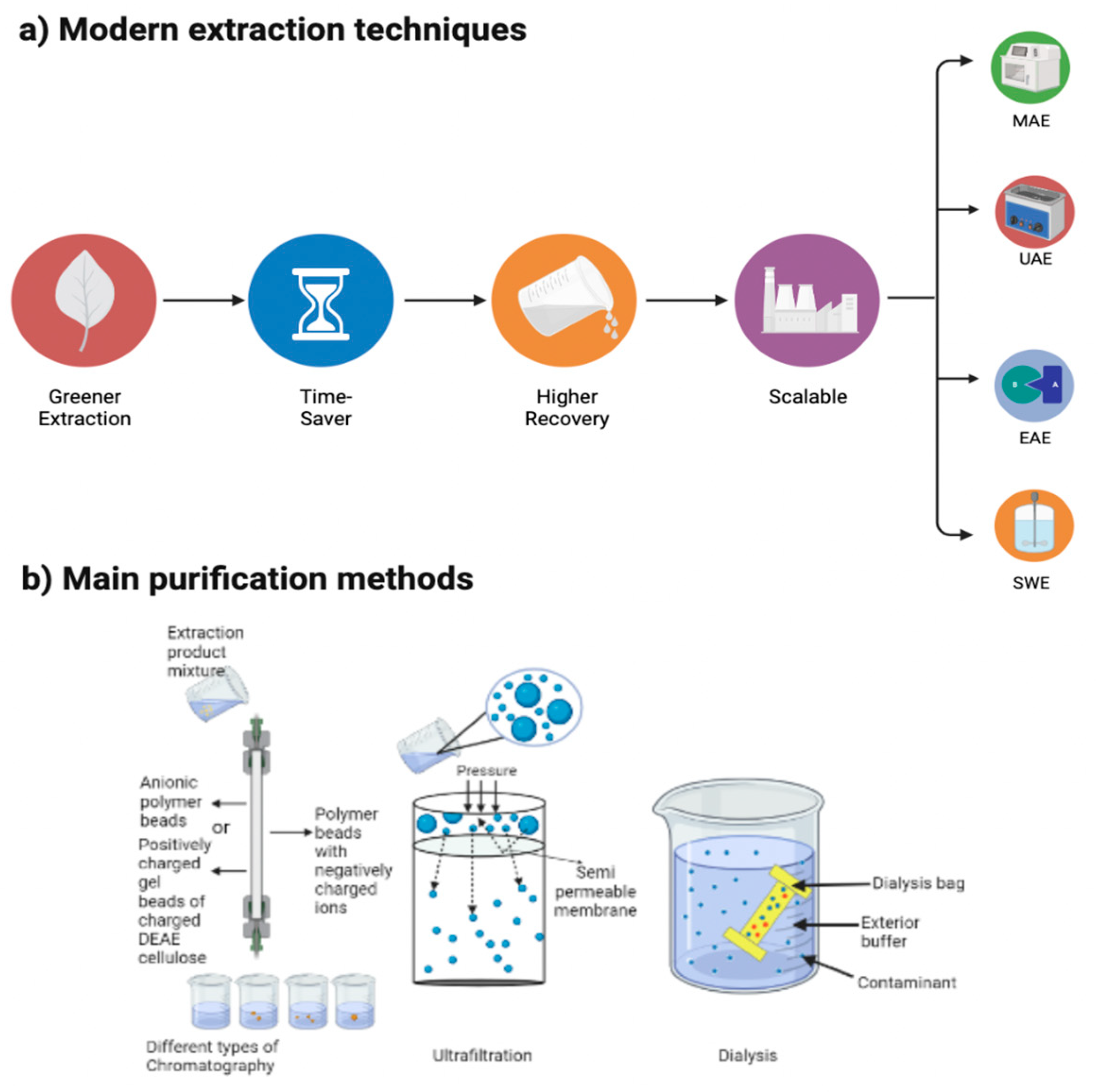 Plants 12 02445 g001 Plants 12 02445 g001