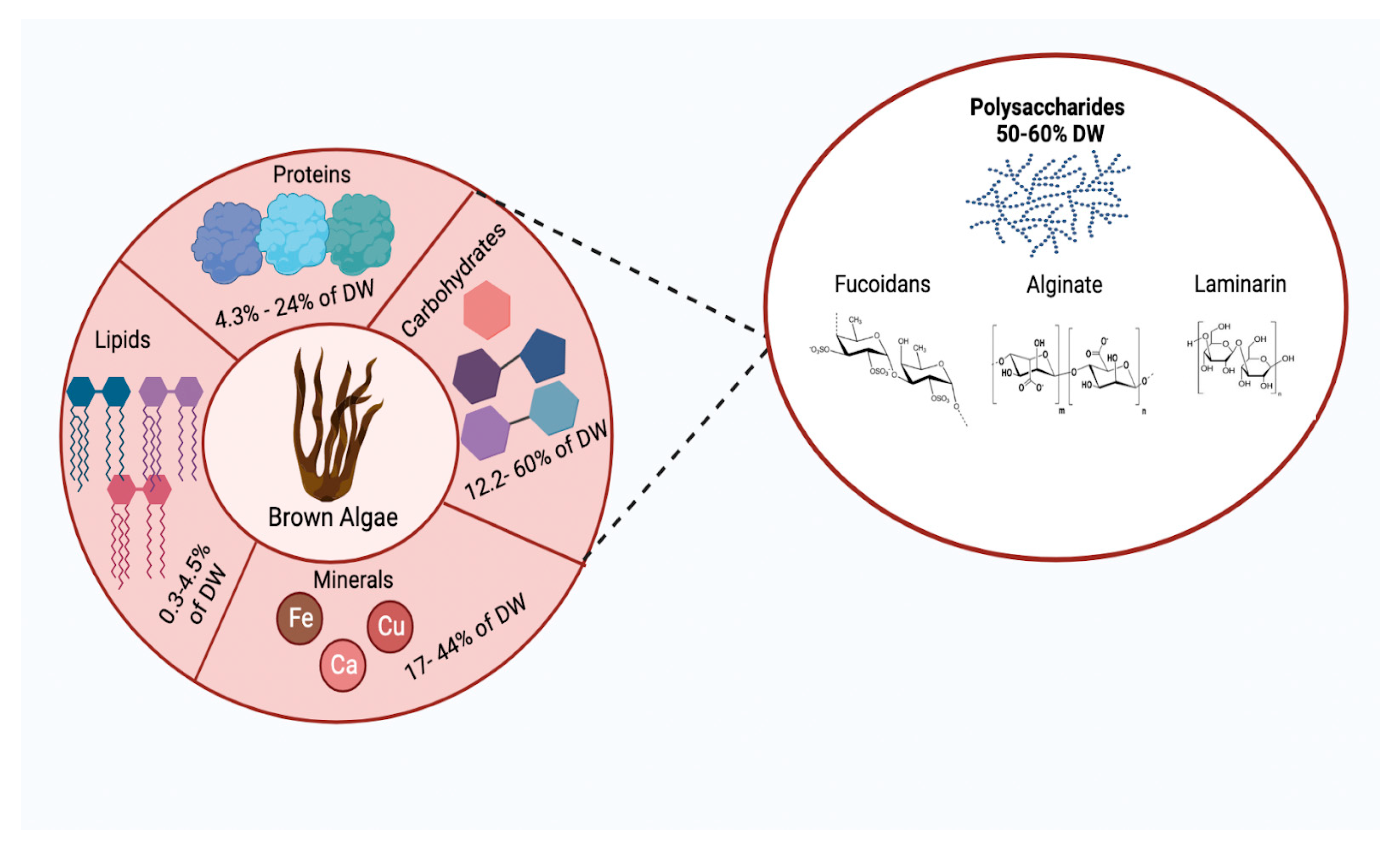 Plants 12 02445 g002 Plants 12 02445 g002